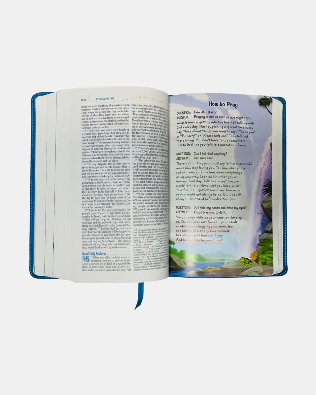 NIV Adventure Bible