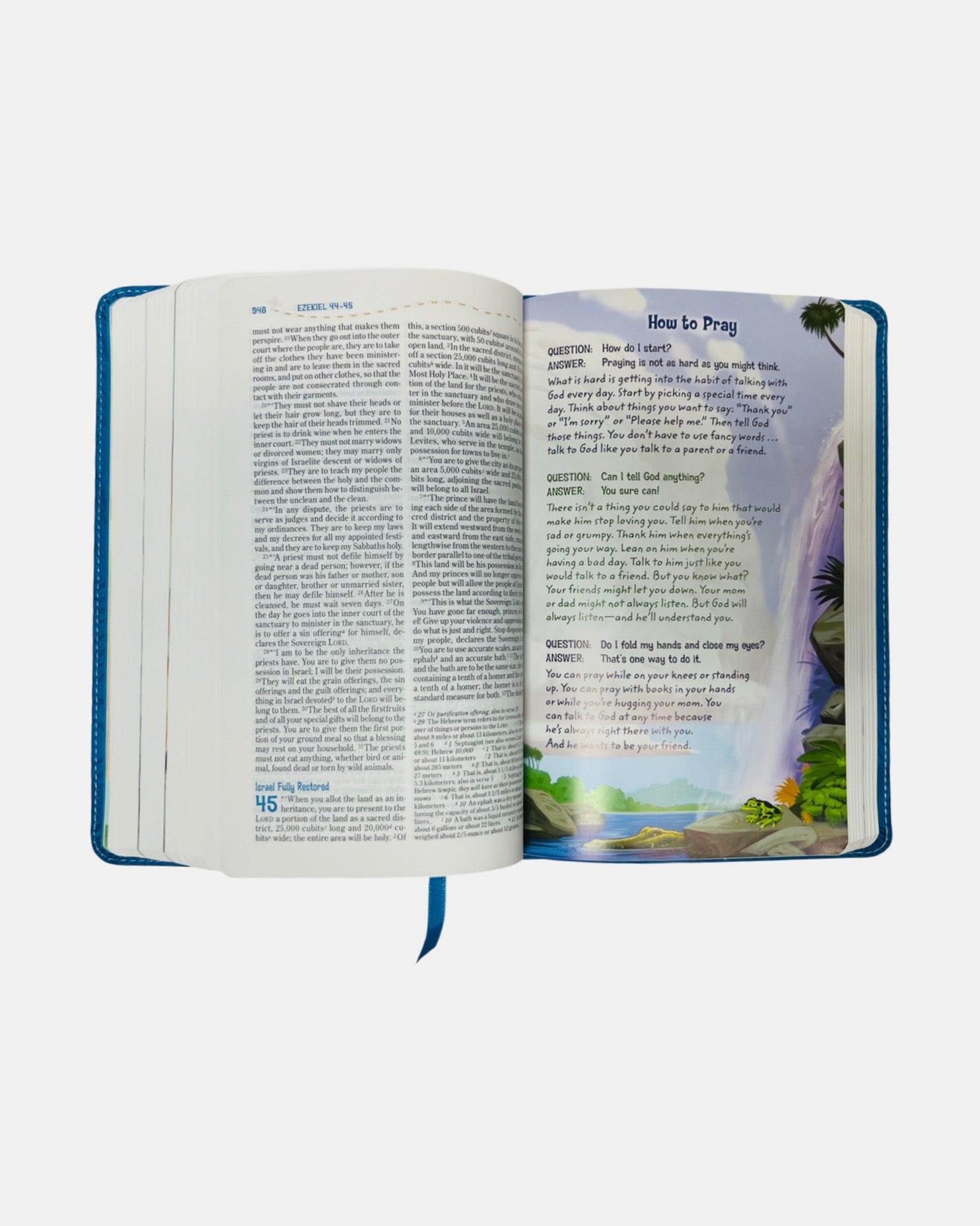 NIV Adventure Bible