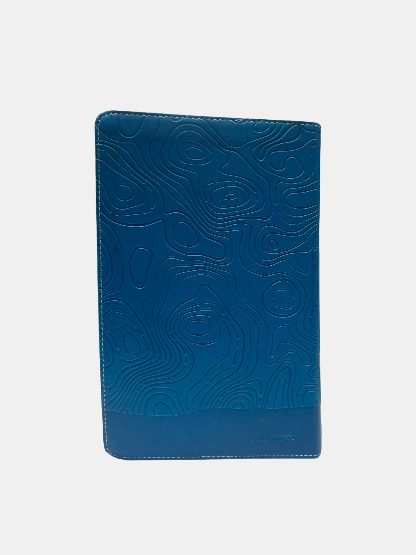 NIV Adventure Bible