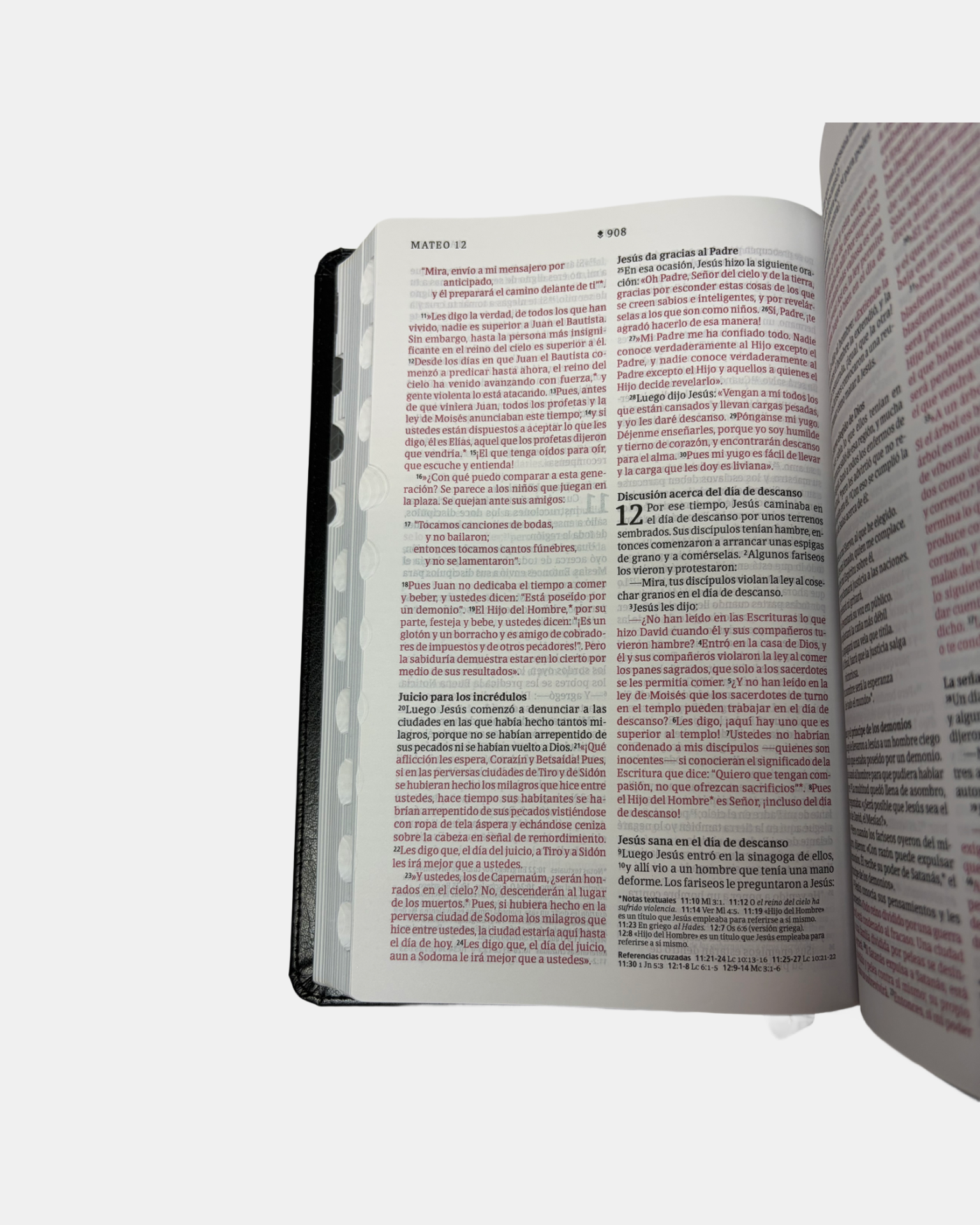 Santa Biblia NTV ÚLTRAFINA, con índices