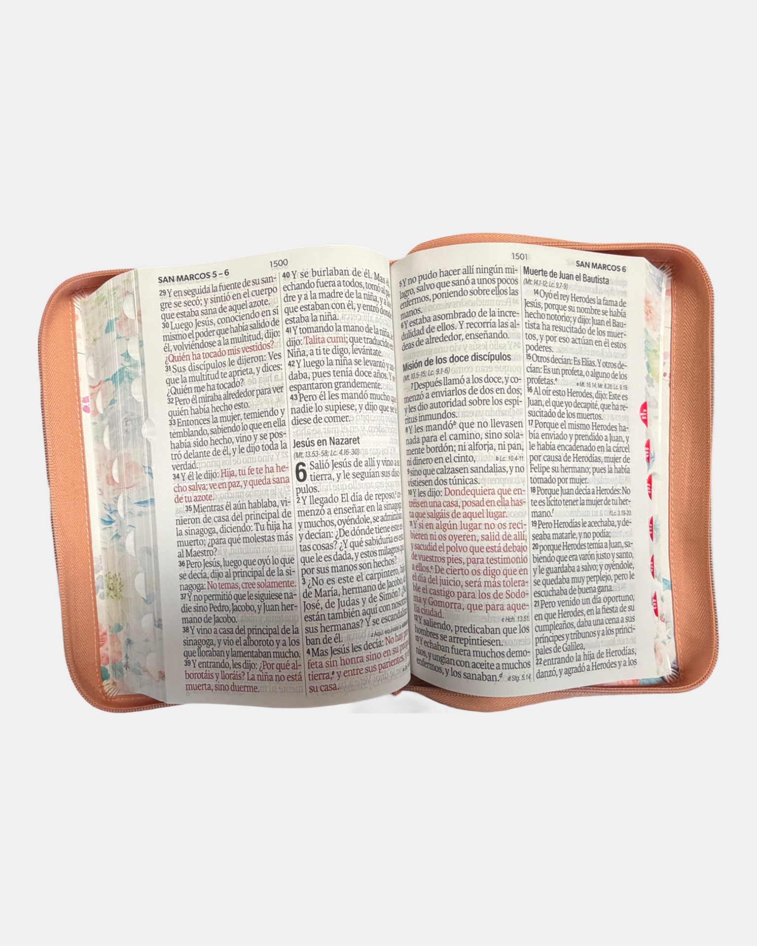 Biblia Rvr 1960