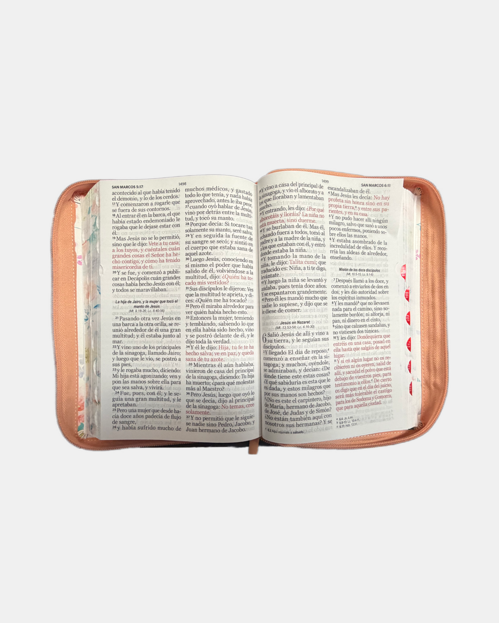 Biblia Rvr 1960