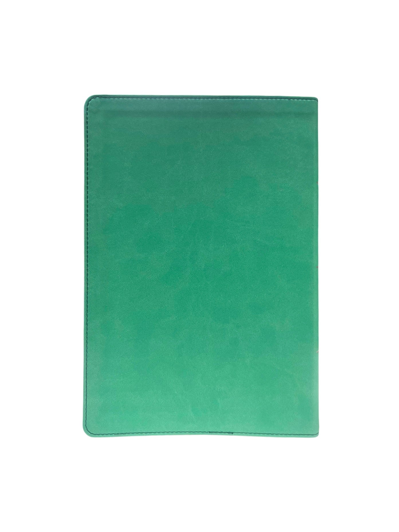 CSB Rainbow Study Bible, Limited Edition--soft leather-look, teal