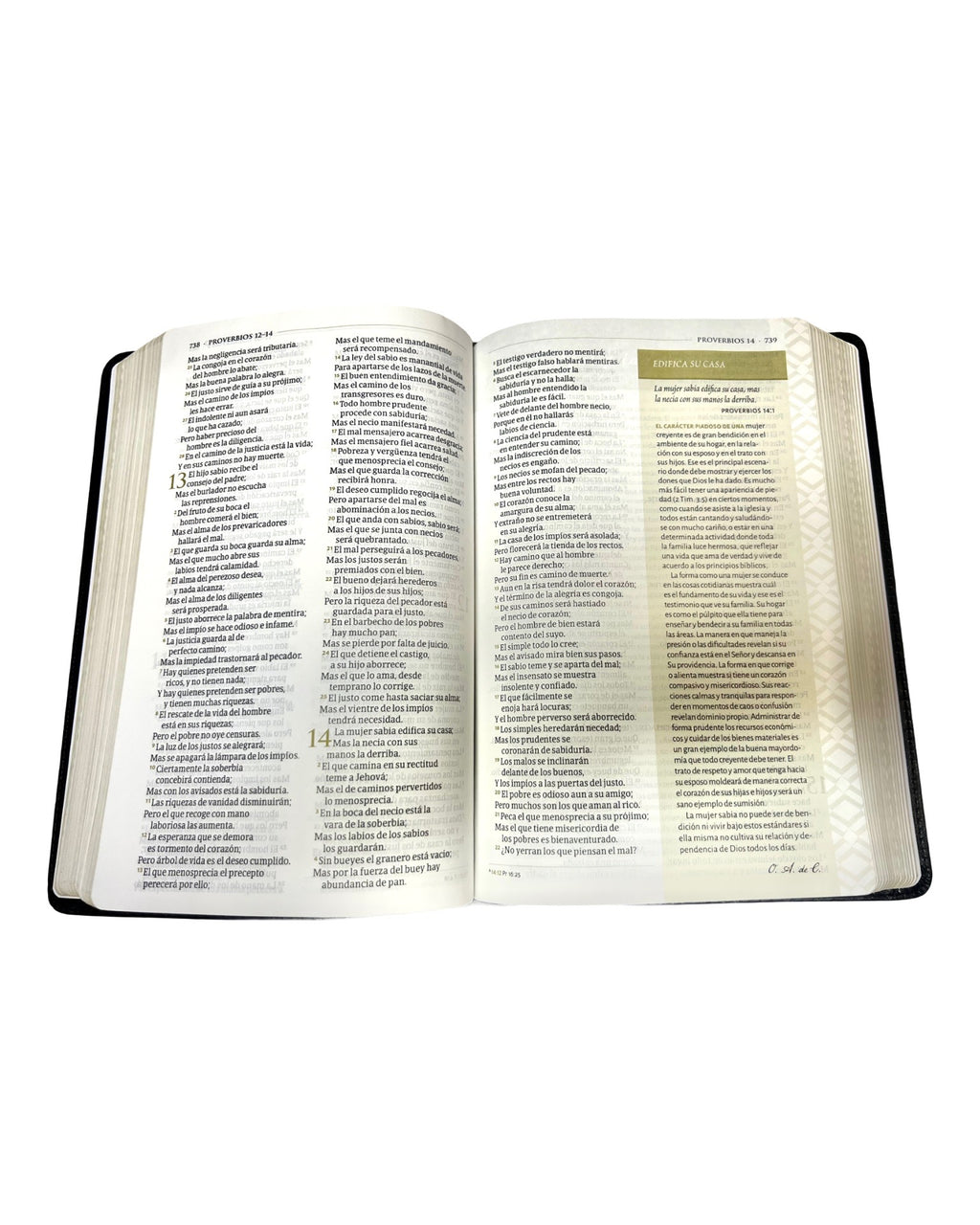 RVR 1960 Biblia tematica de estudio, negro piel genuina