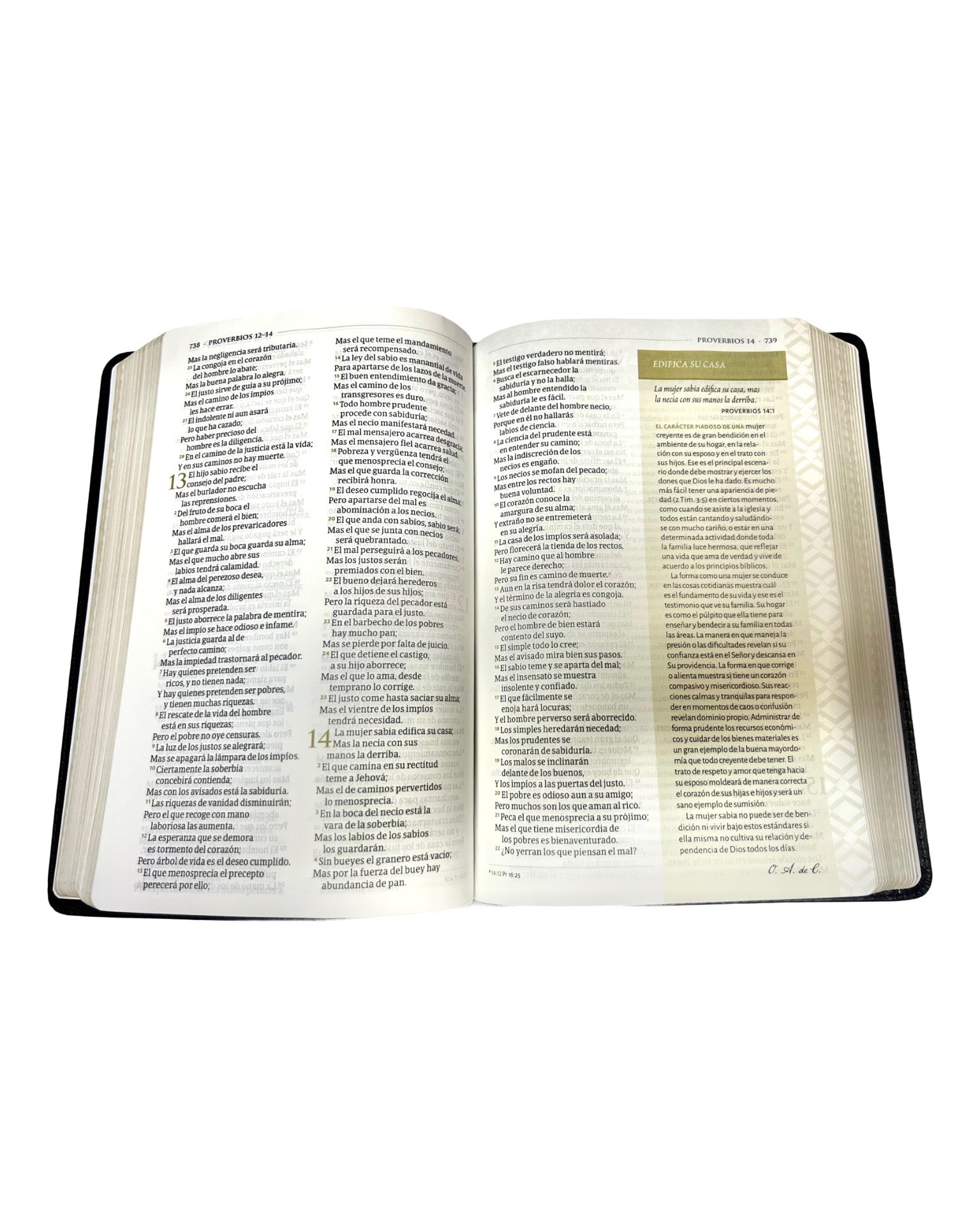 RVR 1960 Biblia tematica de estudio, negro piel genuina