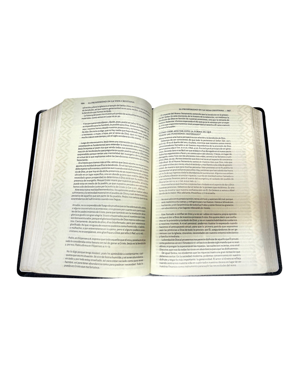 RVR 1960 Biblia tematica de estudio, negro piel genuina