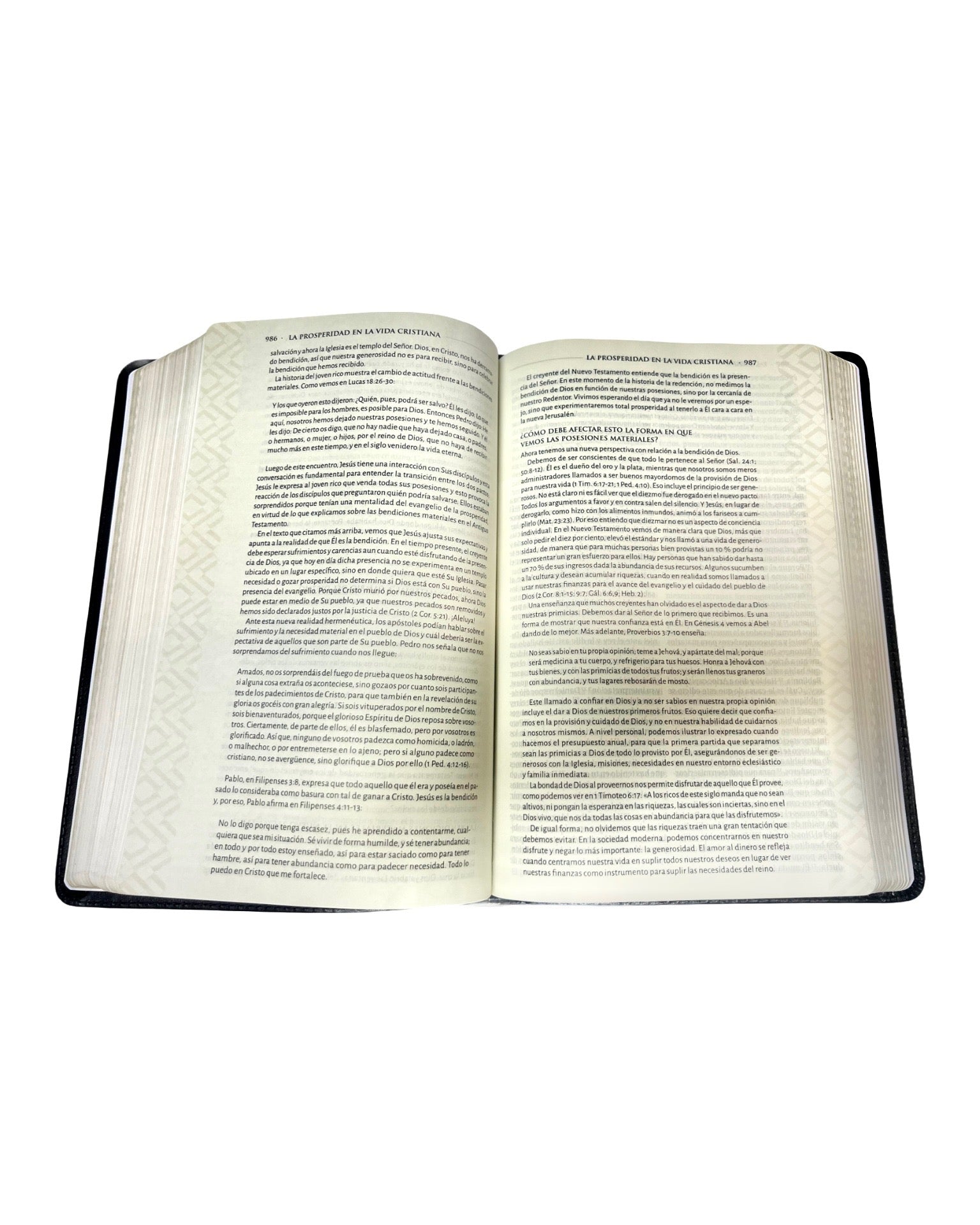 RVR 1960 Biblia tematica de estudio, negro piel genuina