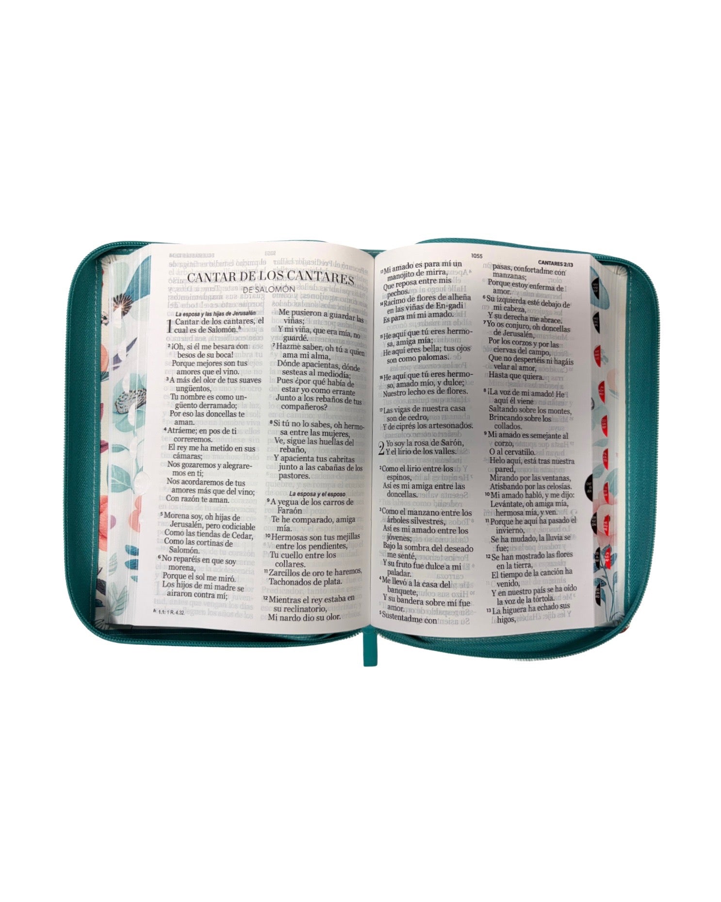 Biblia Reina-Valera￼1960
