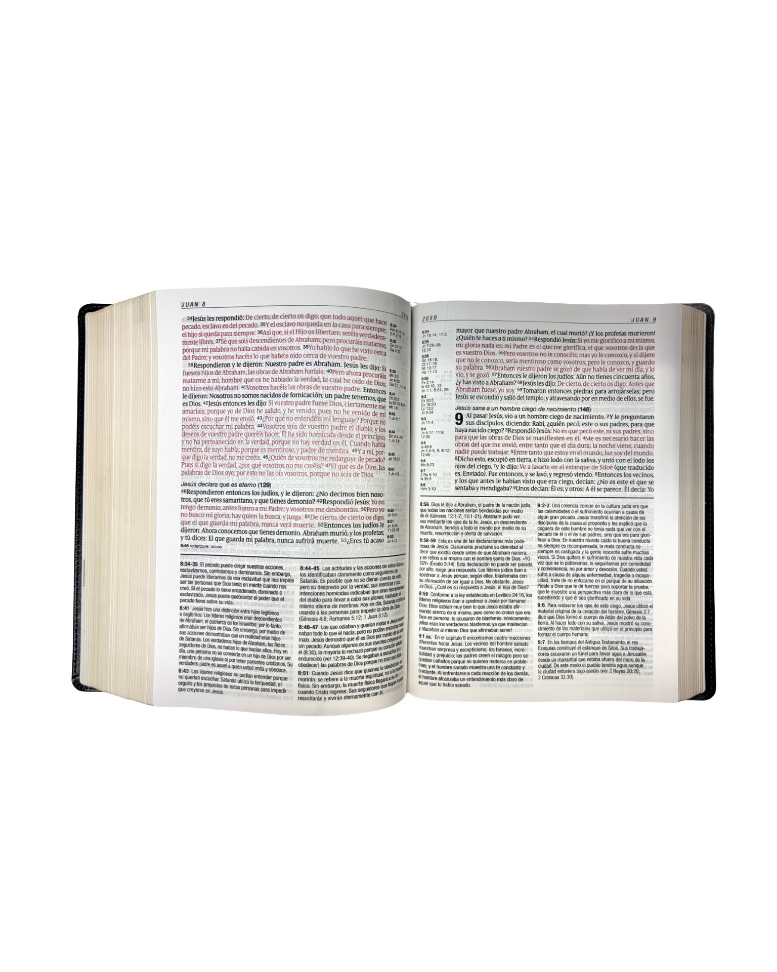 Diario Vivir Biblia De Estudio