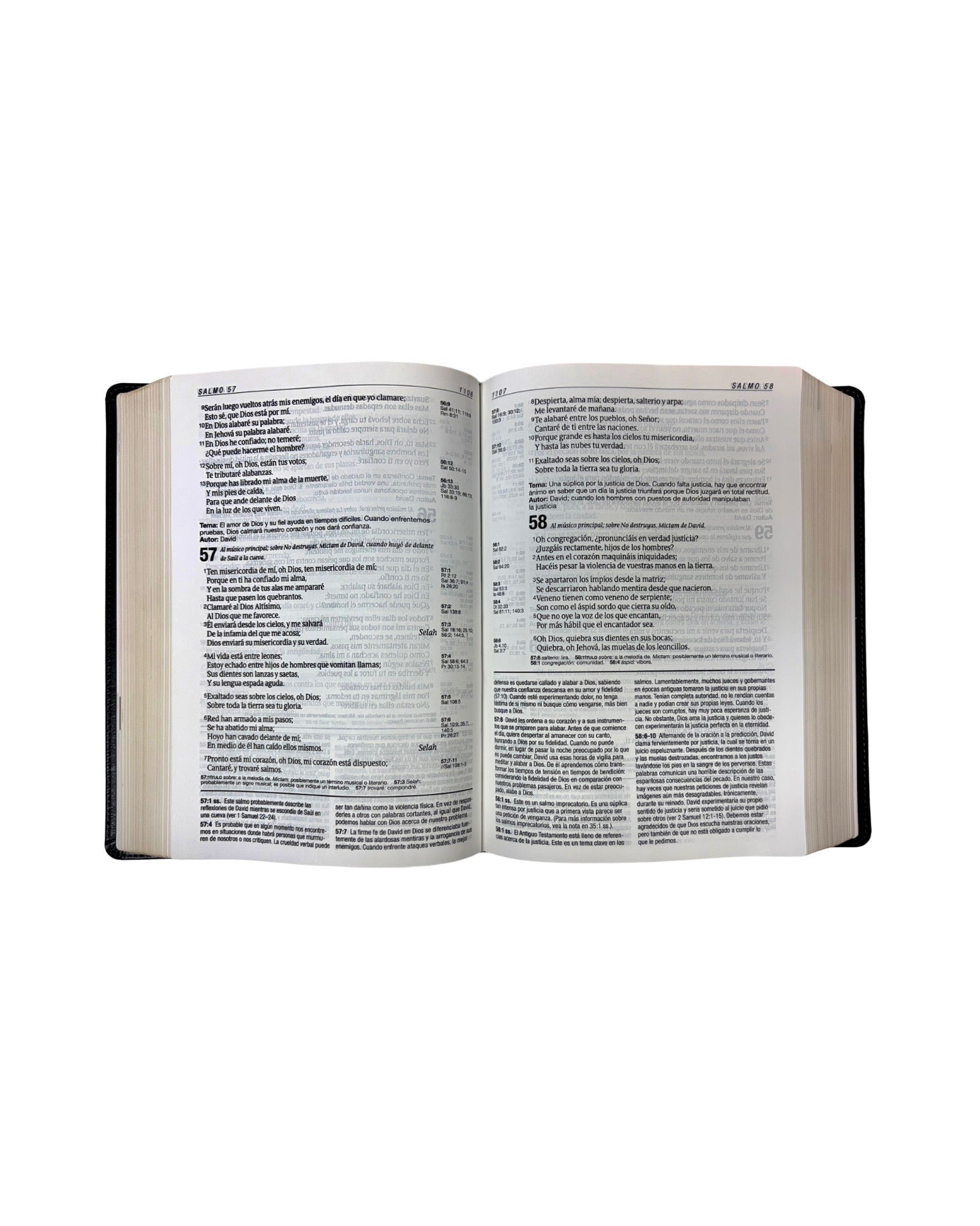 Diario Vivir Biblia De Estudio