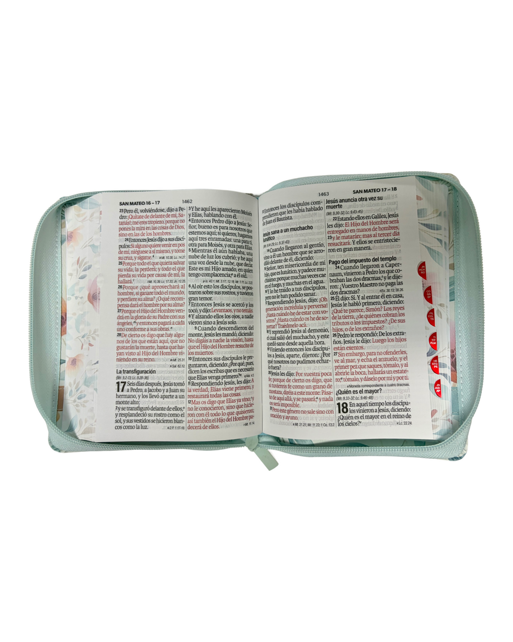 Biblia Reina-Valera 1960￼