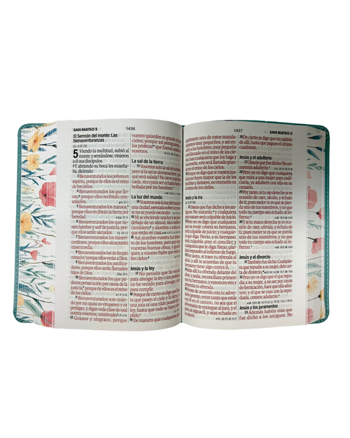 Biblia Reina Valera 1960