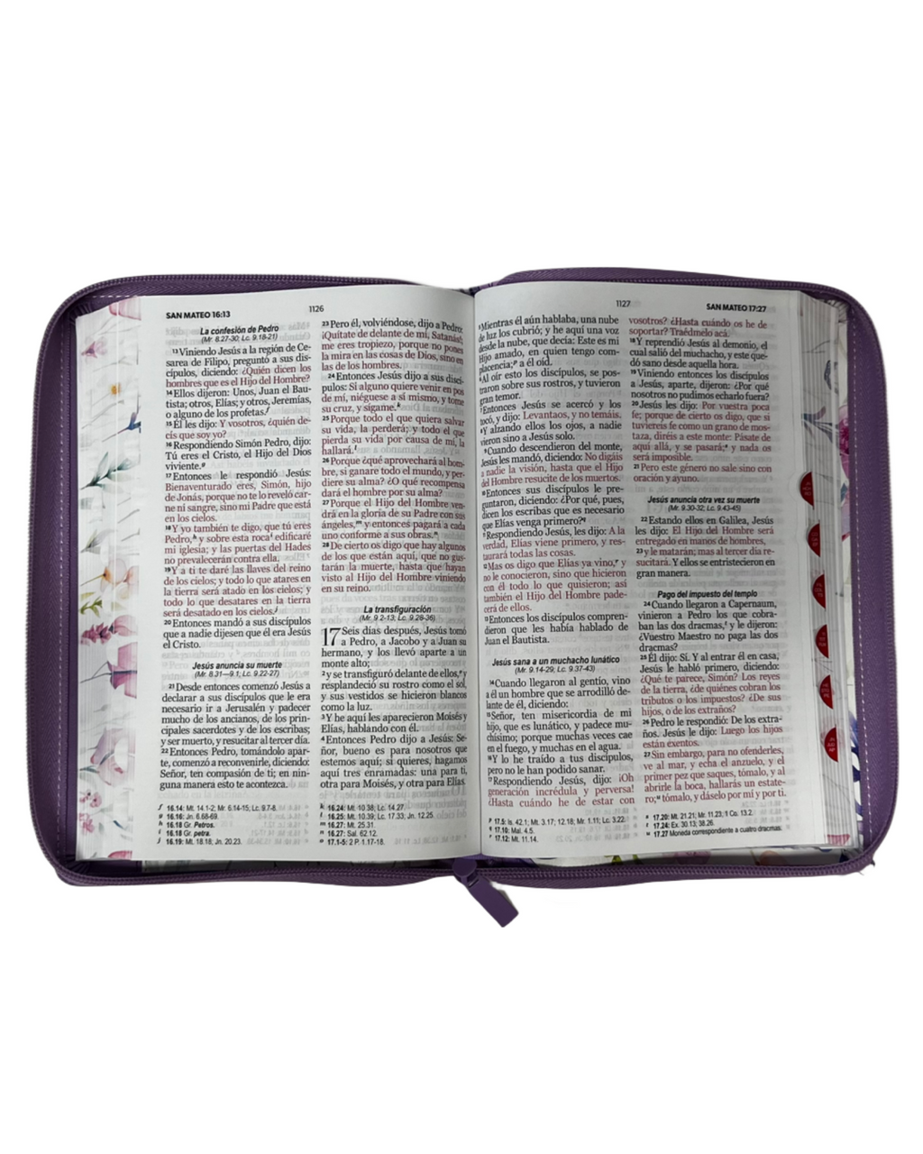 Biblia Rvr 1960