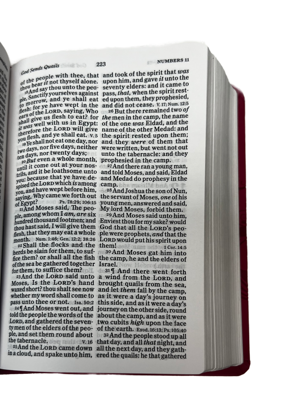 Holman KJV Large Print Compact Reference Bible (Pink)