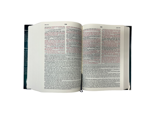 -The-
HENRY MORRIS
STUDY BIBLE