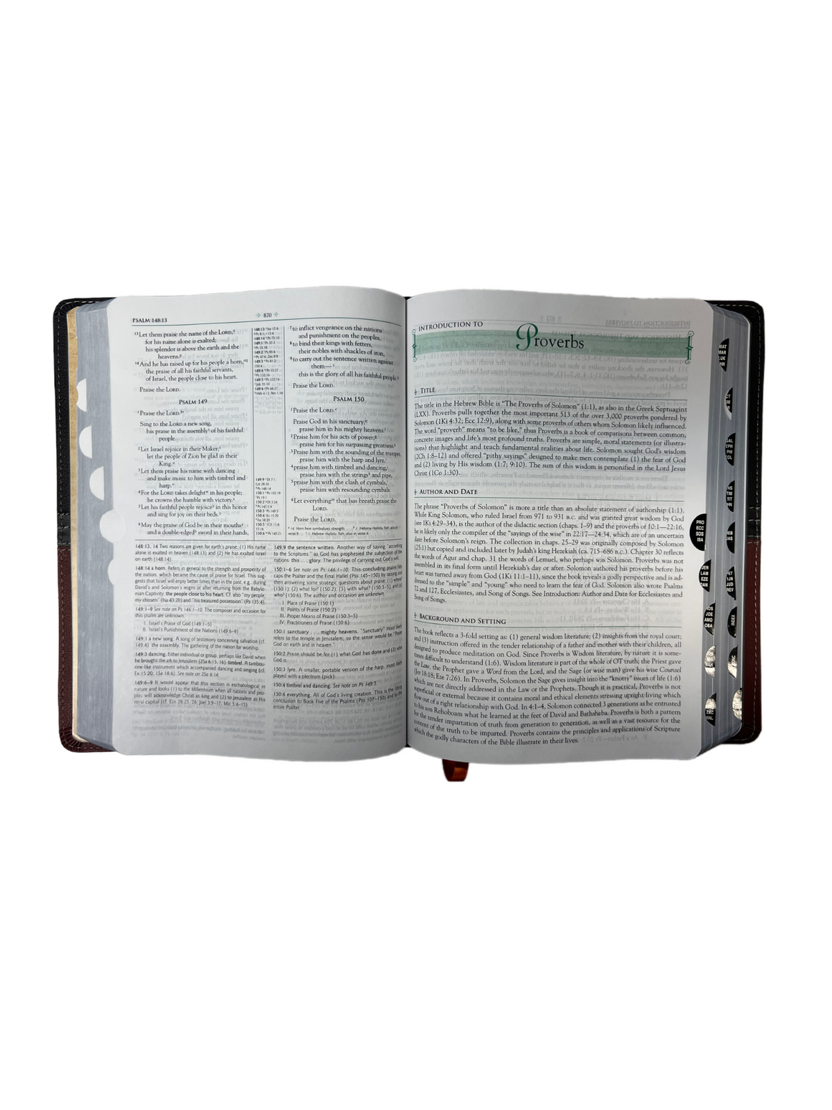 MACARTHUR
STUDY BIBLE NIV