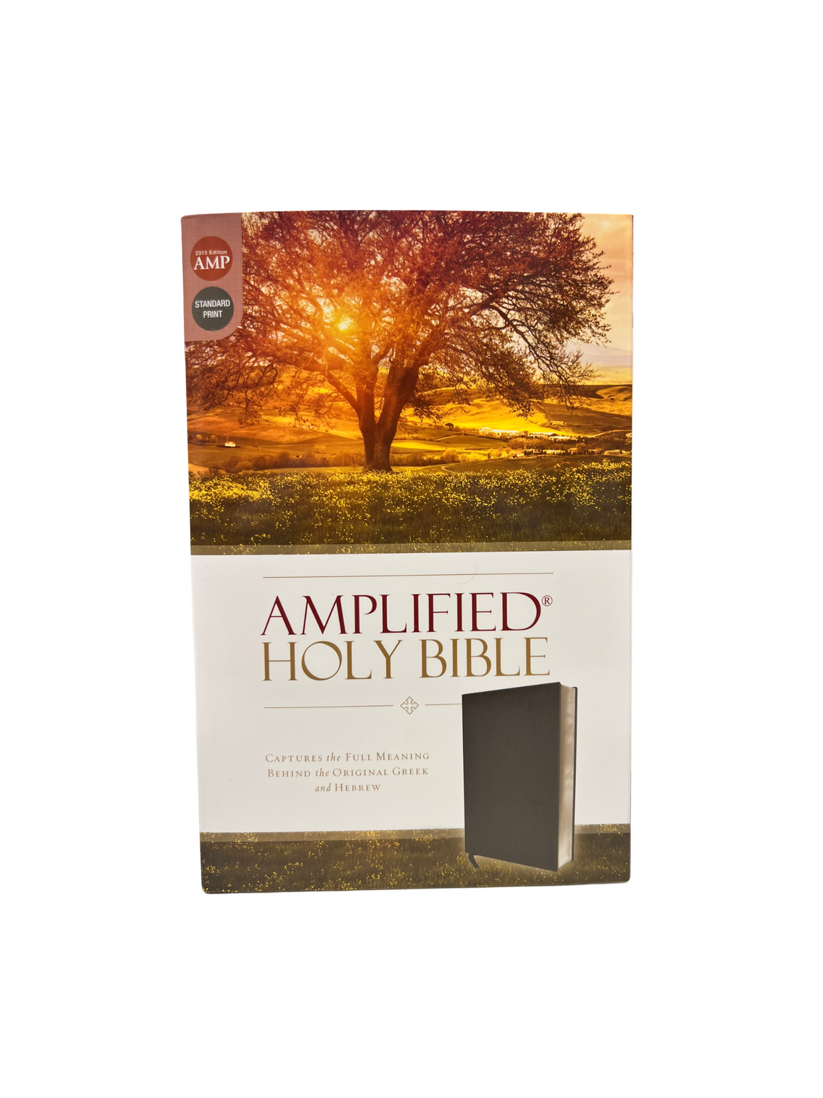 AMPLIFIED®
HOLY BIBLE