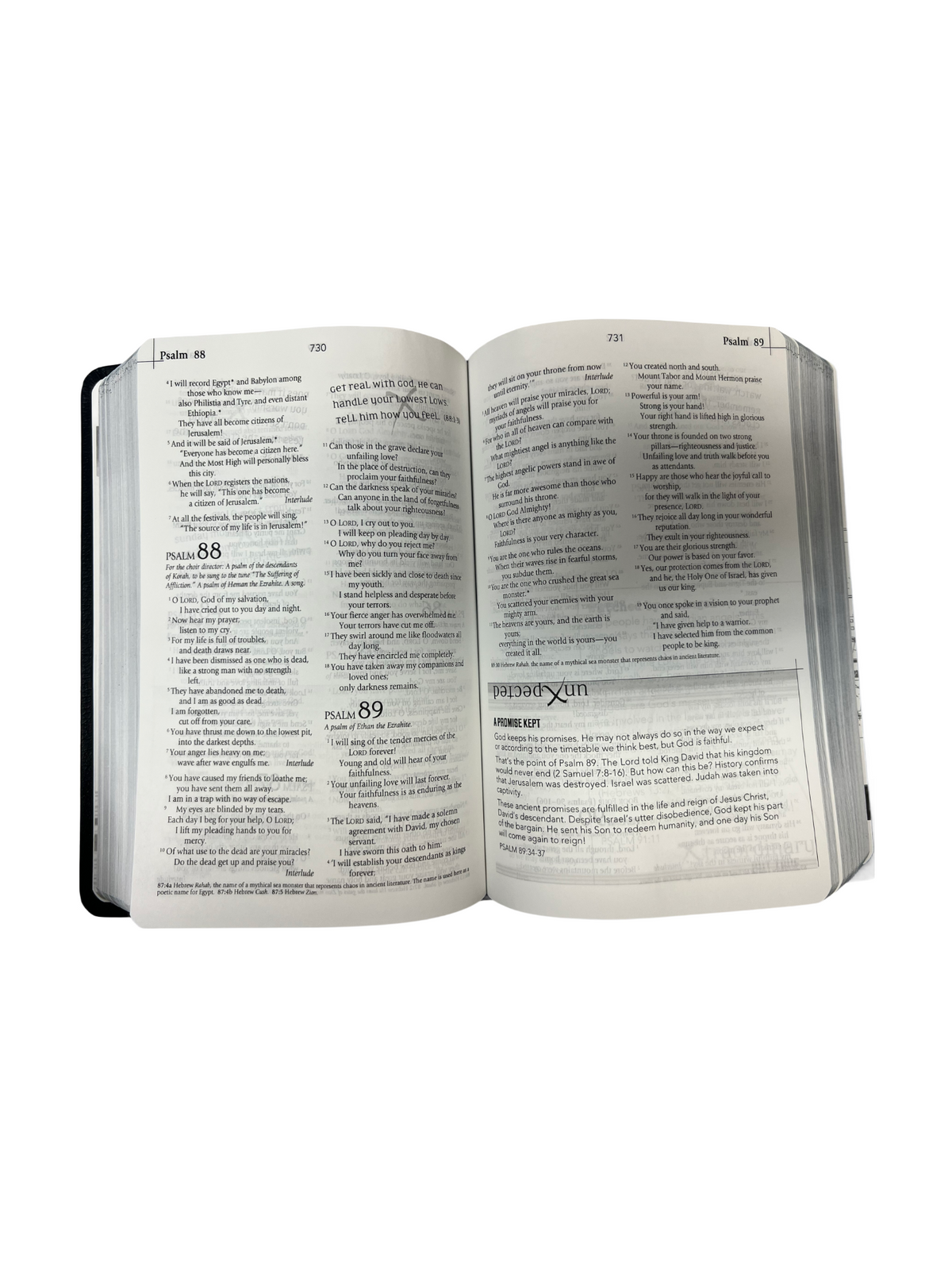 Jesus Bible NLT