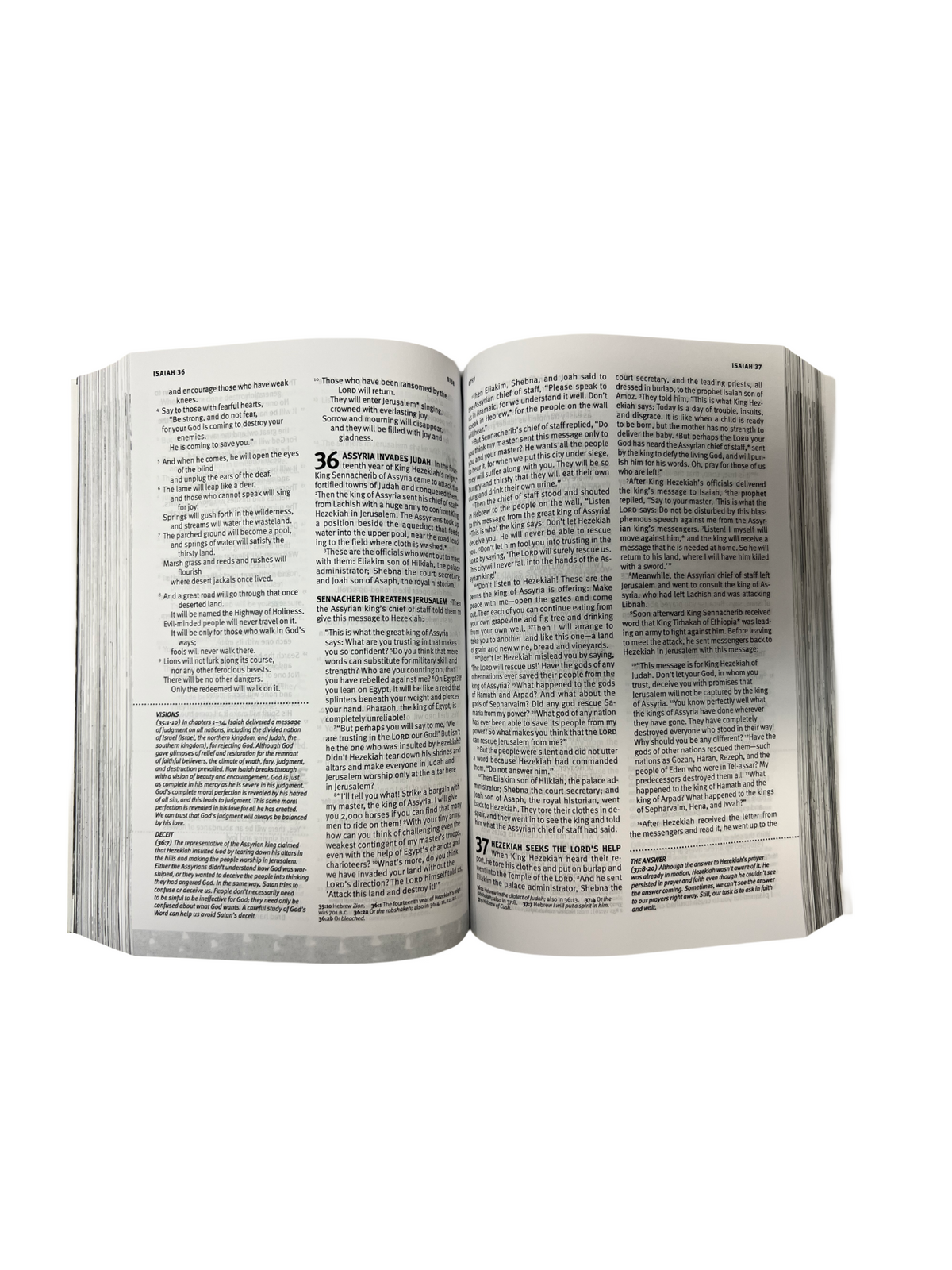 NLT Bible
