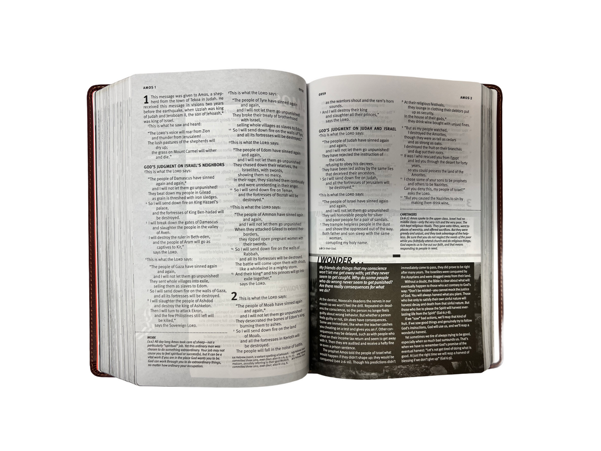 NLT Bible