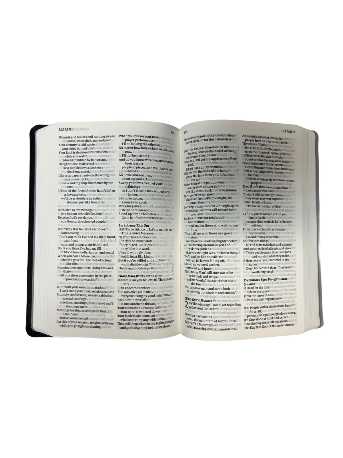 THE MESSAGE Bible