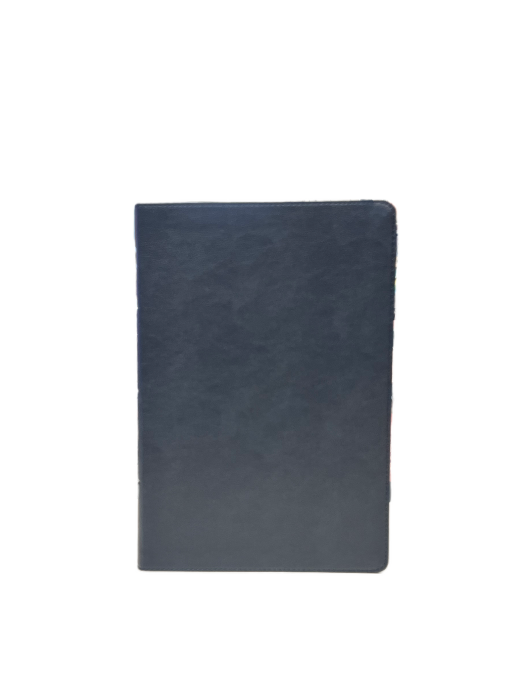 CSB Rainbow Study Bible -Soft Leather- Indexed