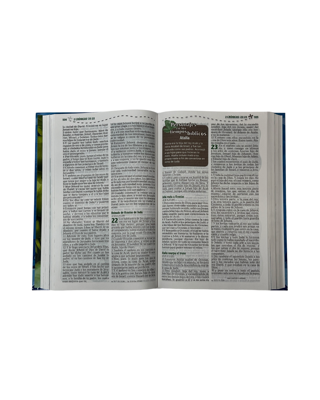 Biblia descuriminto