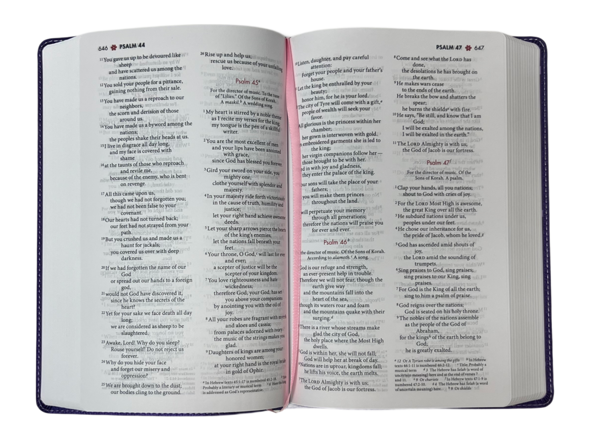 NIV Ultimate Bible For girls