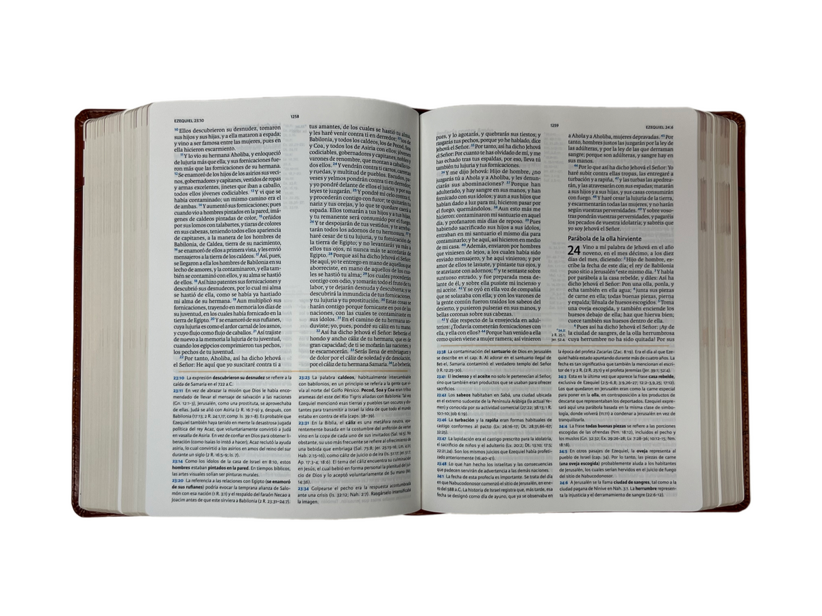 Biblia De Estudio Holman Rvr1960