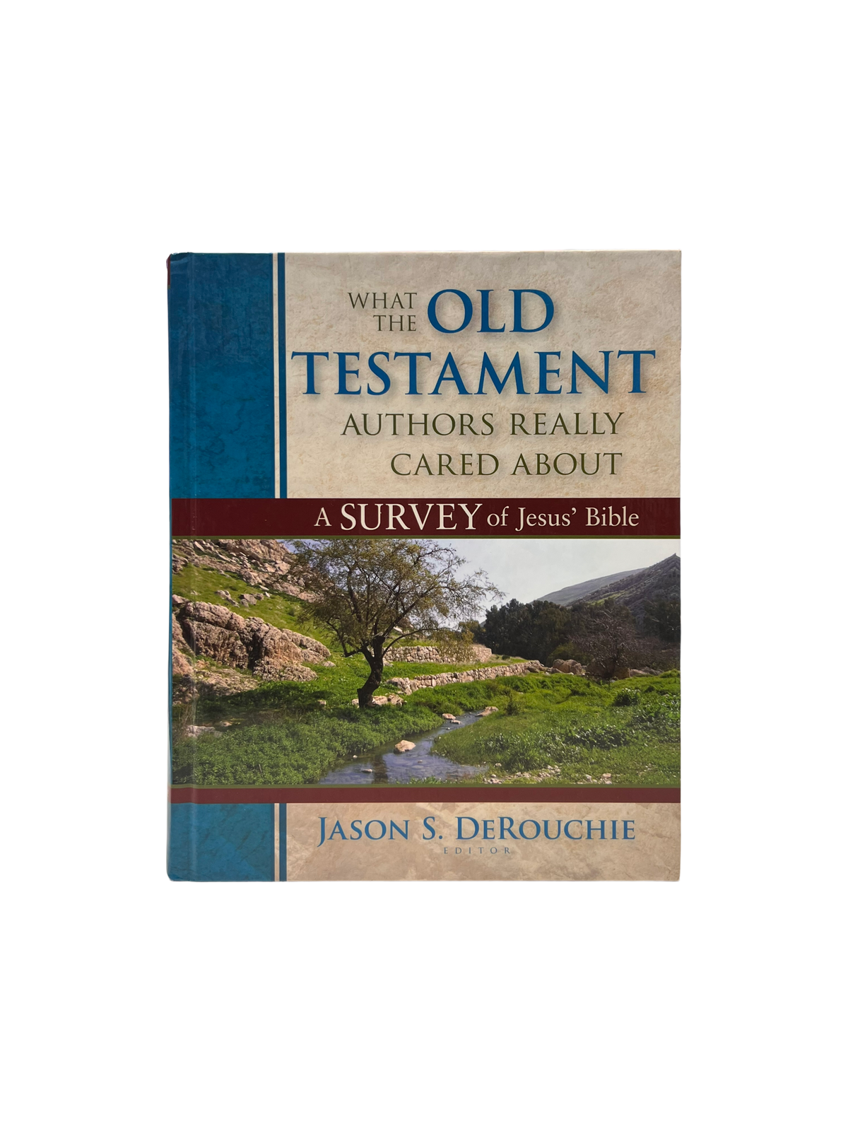what old testament Authors really card about