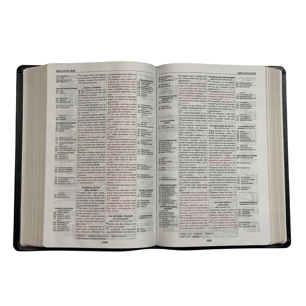 Biblia De Referencia