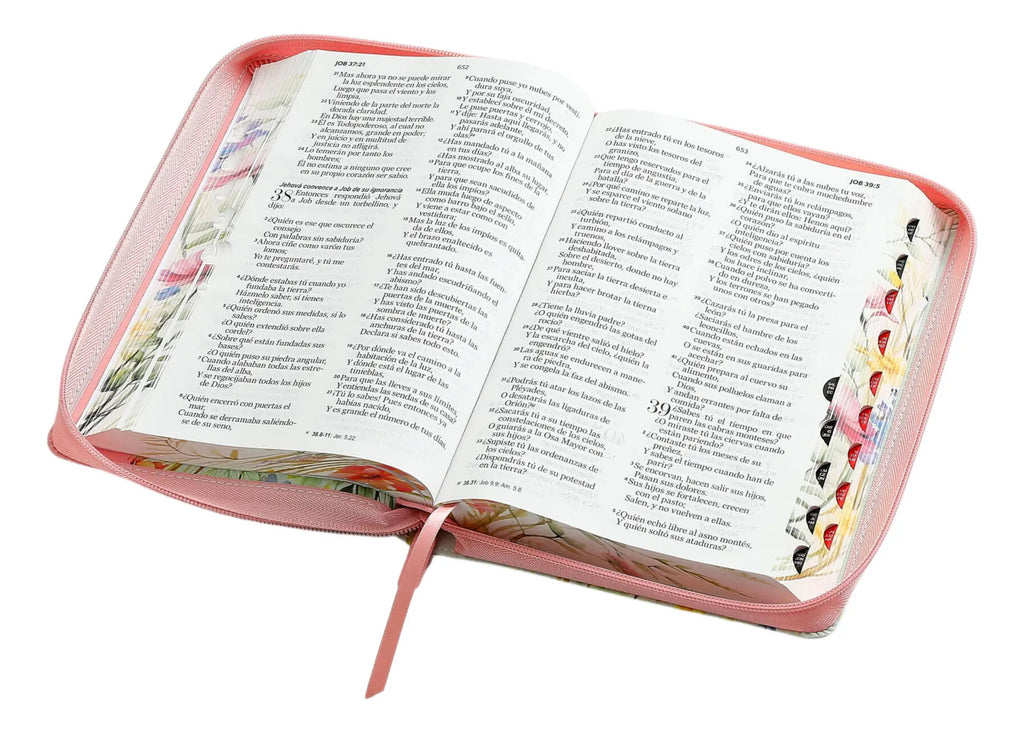 Biblia Rvr 1960 con Cierre, 12 puntos