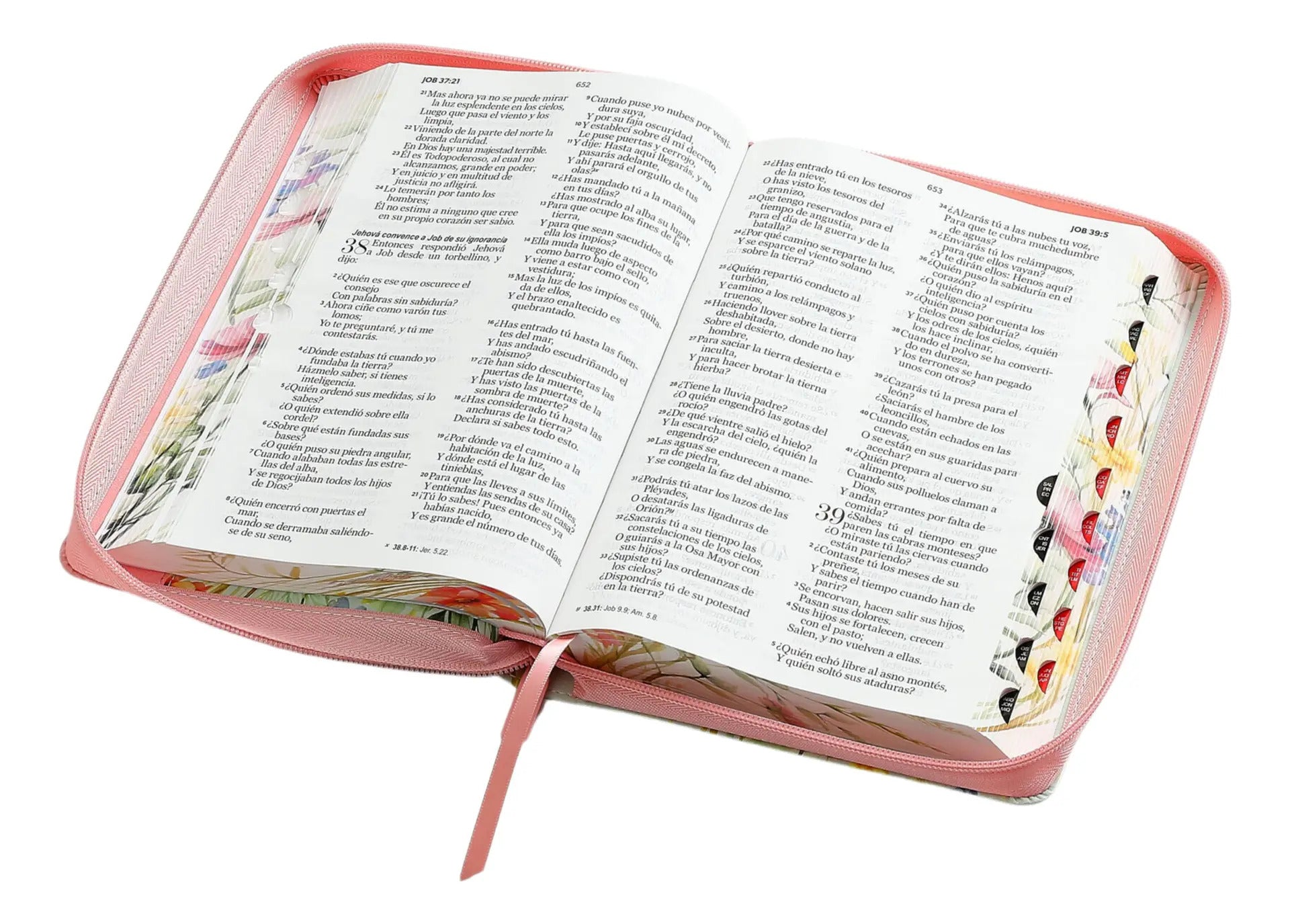 Biblia Rvr 1960 con Cierre, 12 puntos
