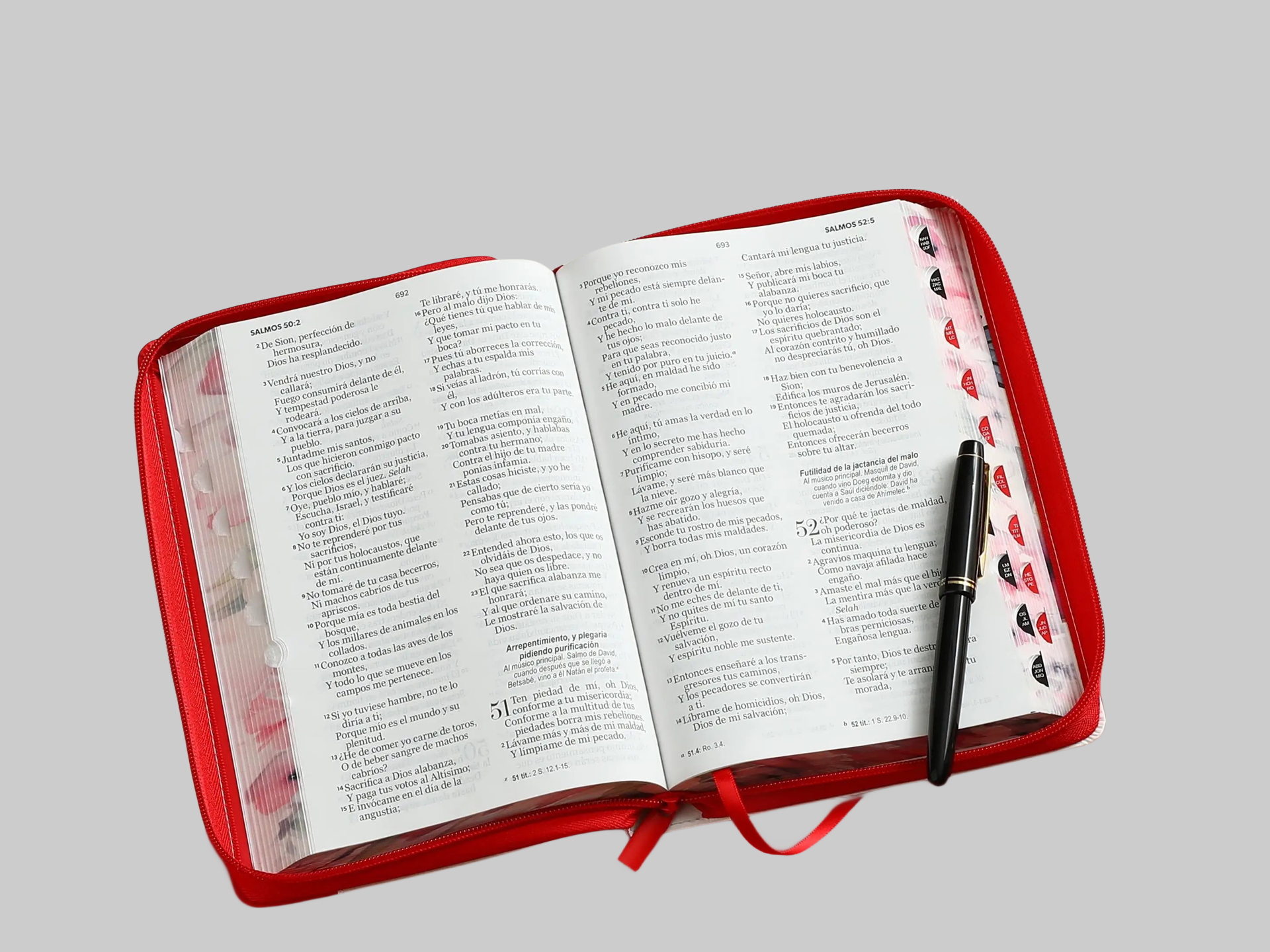 Biblia Rvr1960