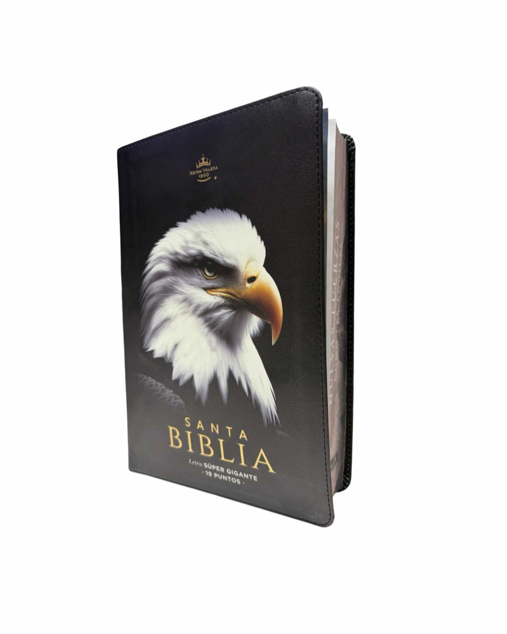 Santa Biblia Rvr1960 Portada De Aguila