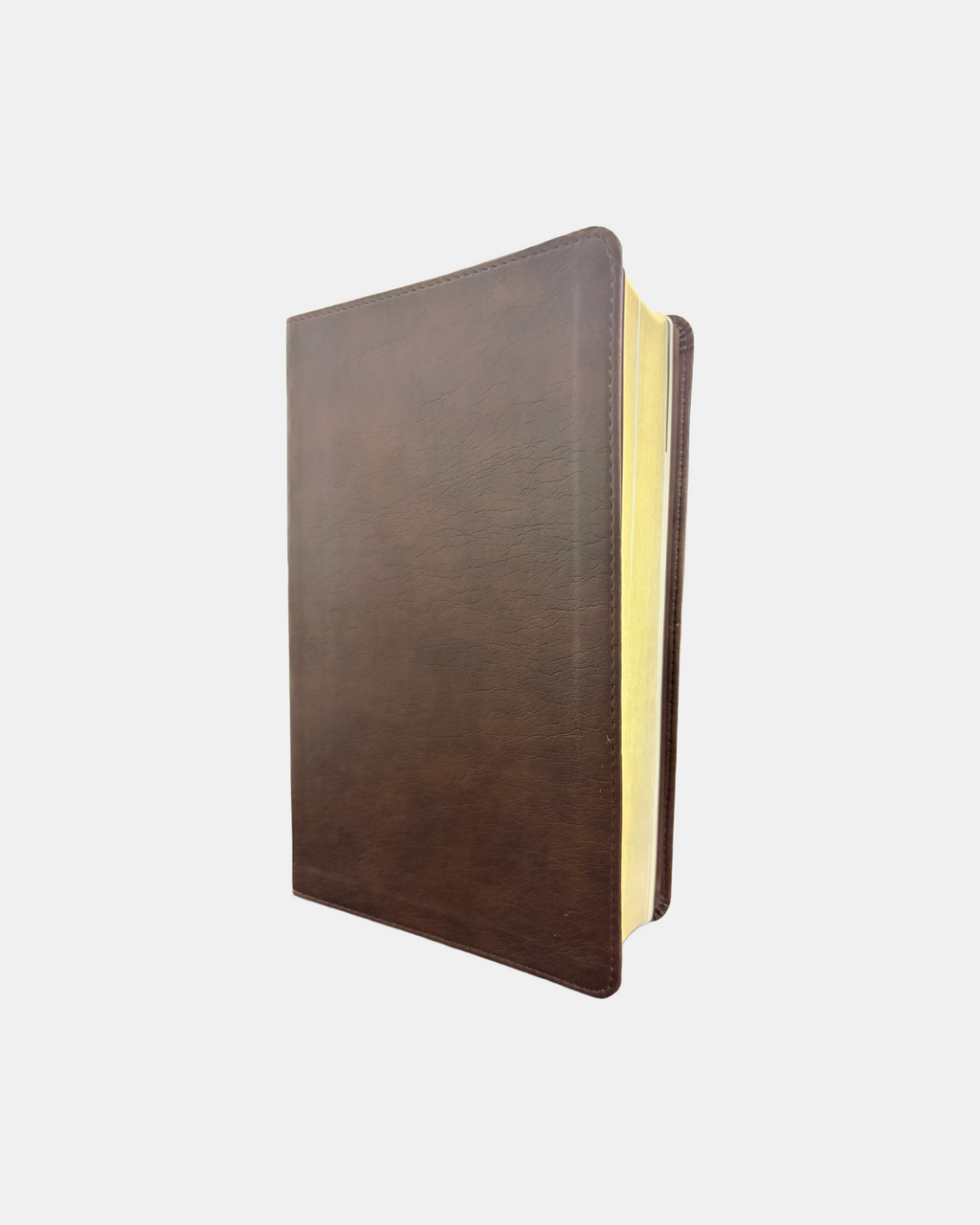 Holy Bible NLT Personal Bible