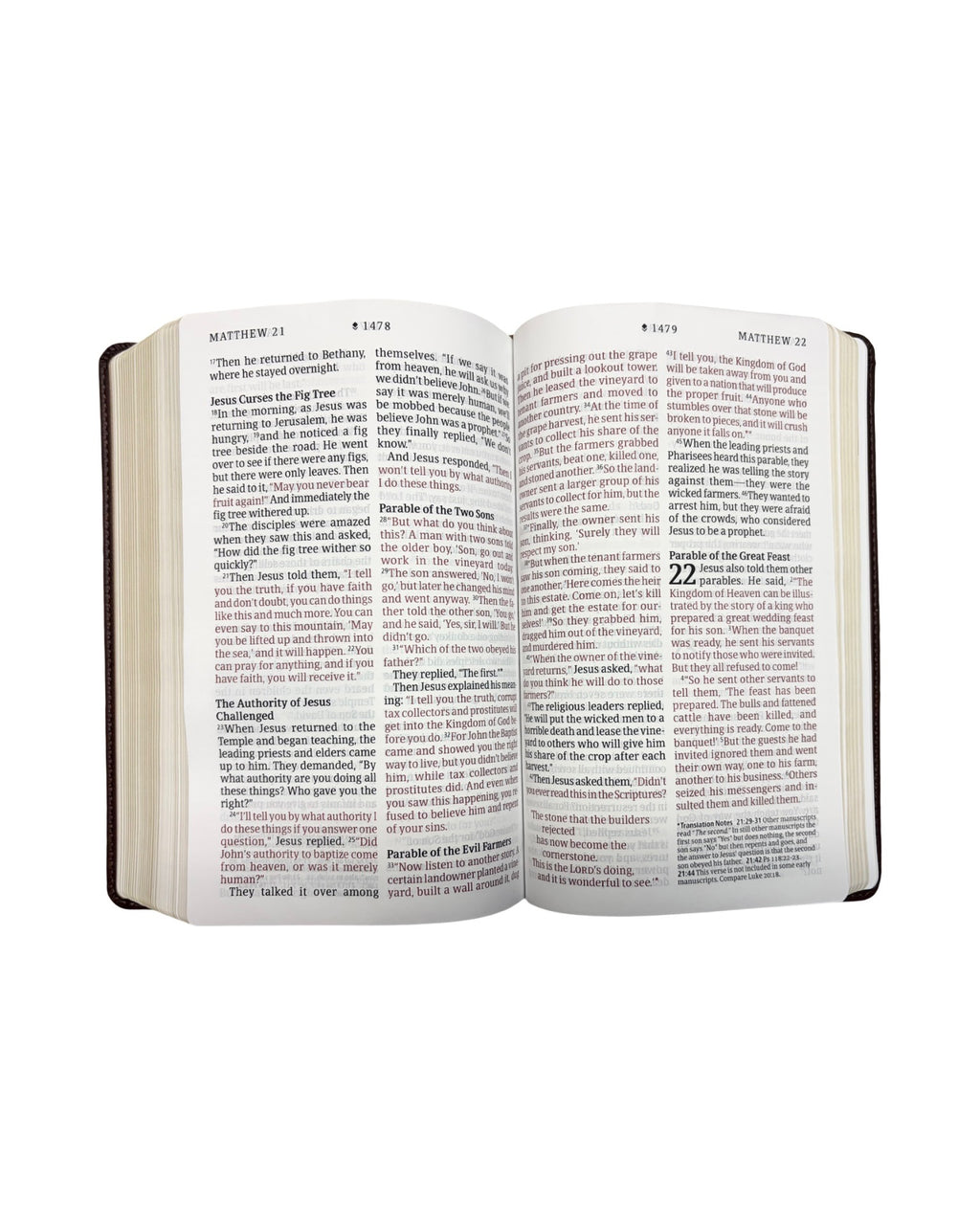 Holy Bible NLT Personal Bible