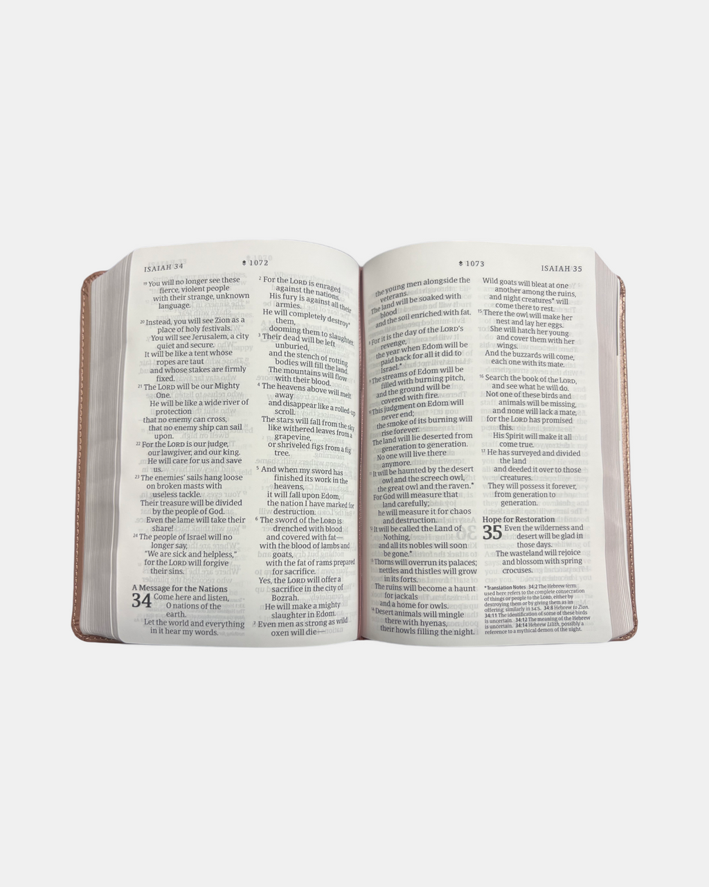 Holy Bible NLT compact