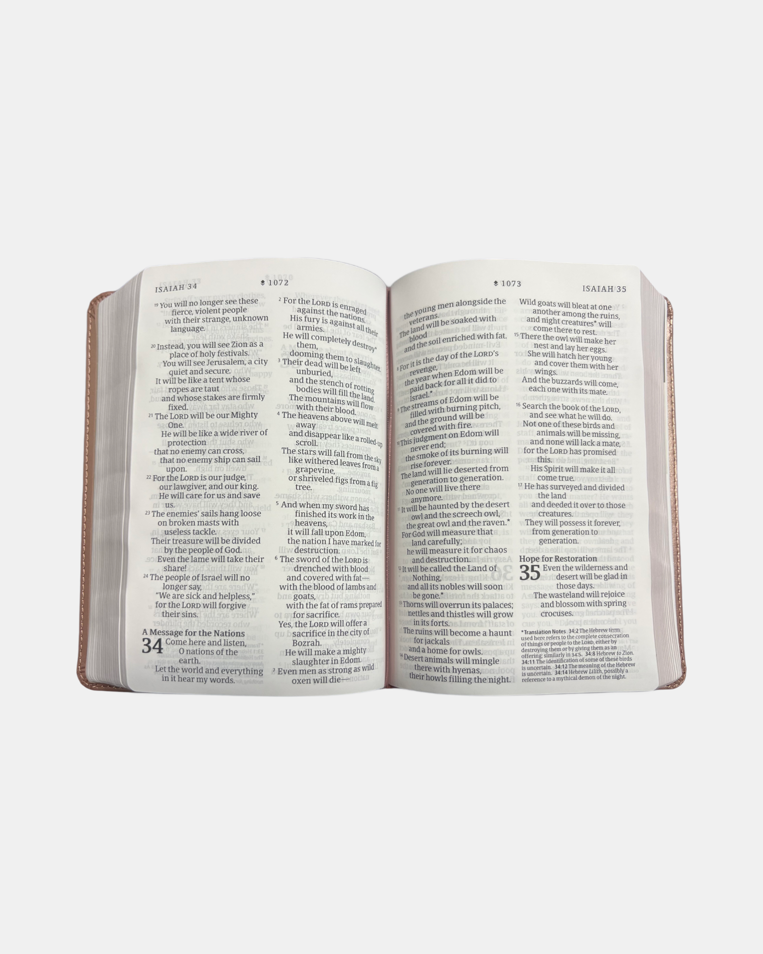 Holy Bible NLT compact