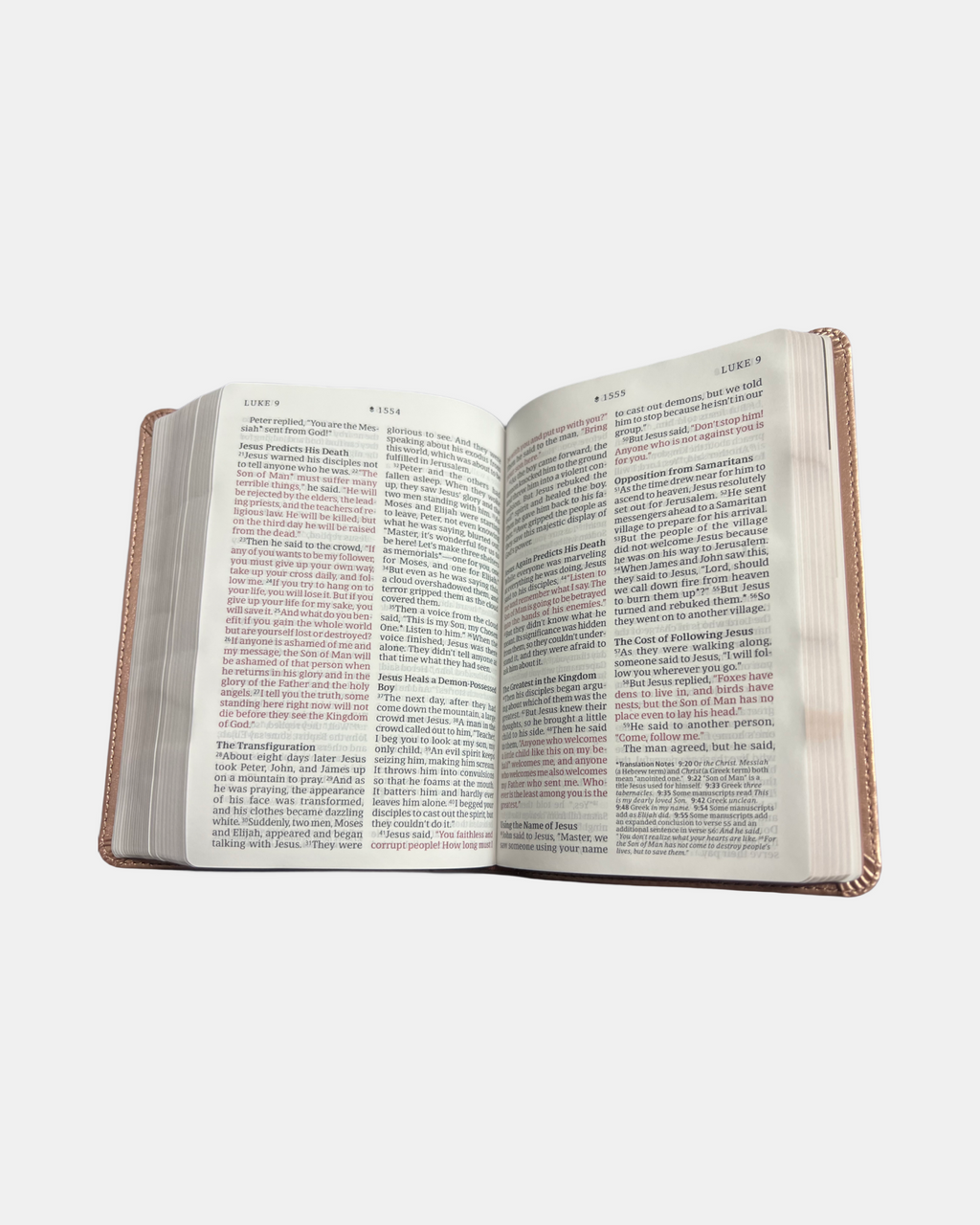Holy Bible NLT compact