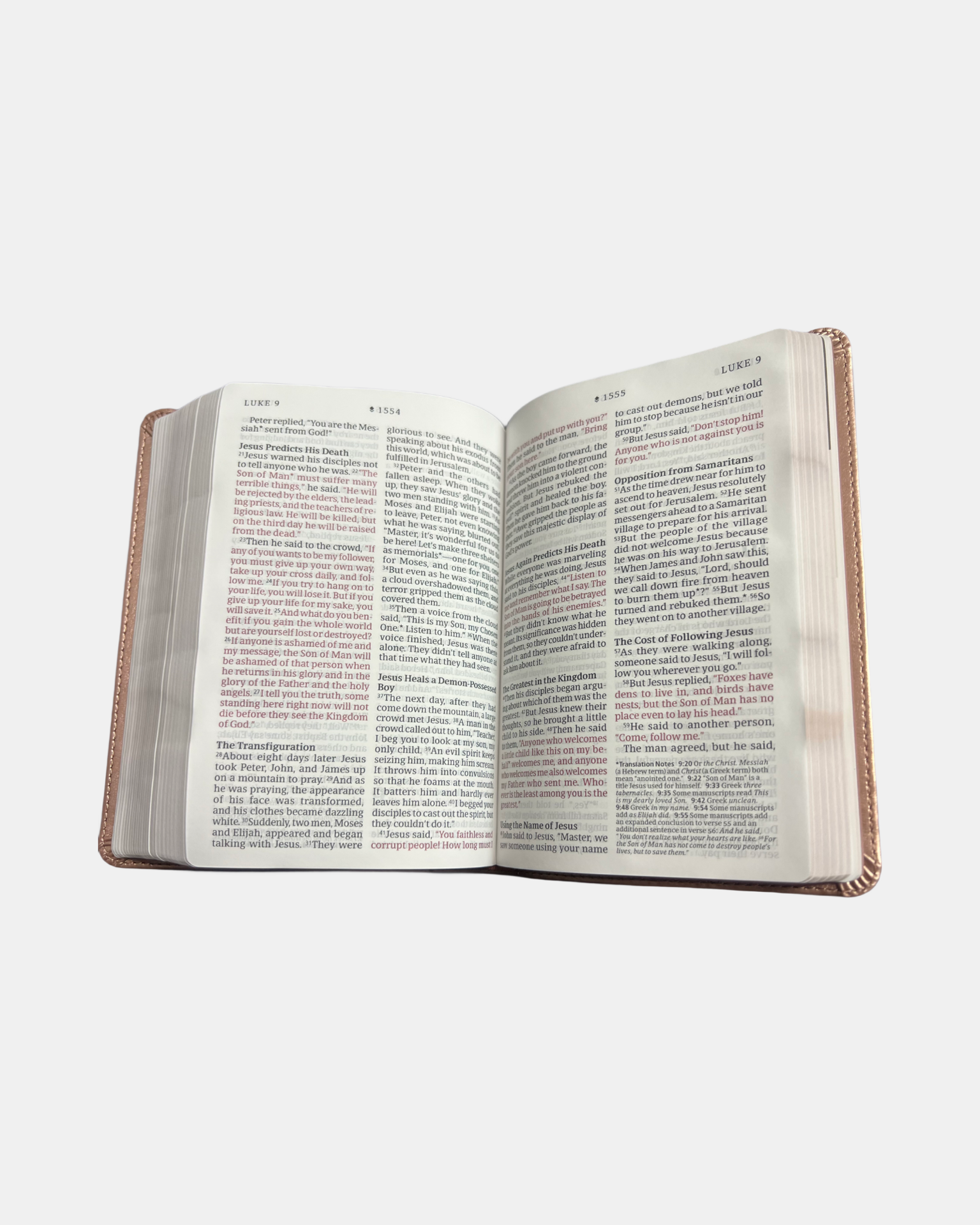 Holy Bible NLT compact