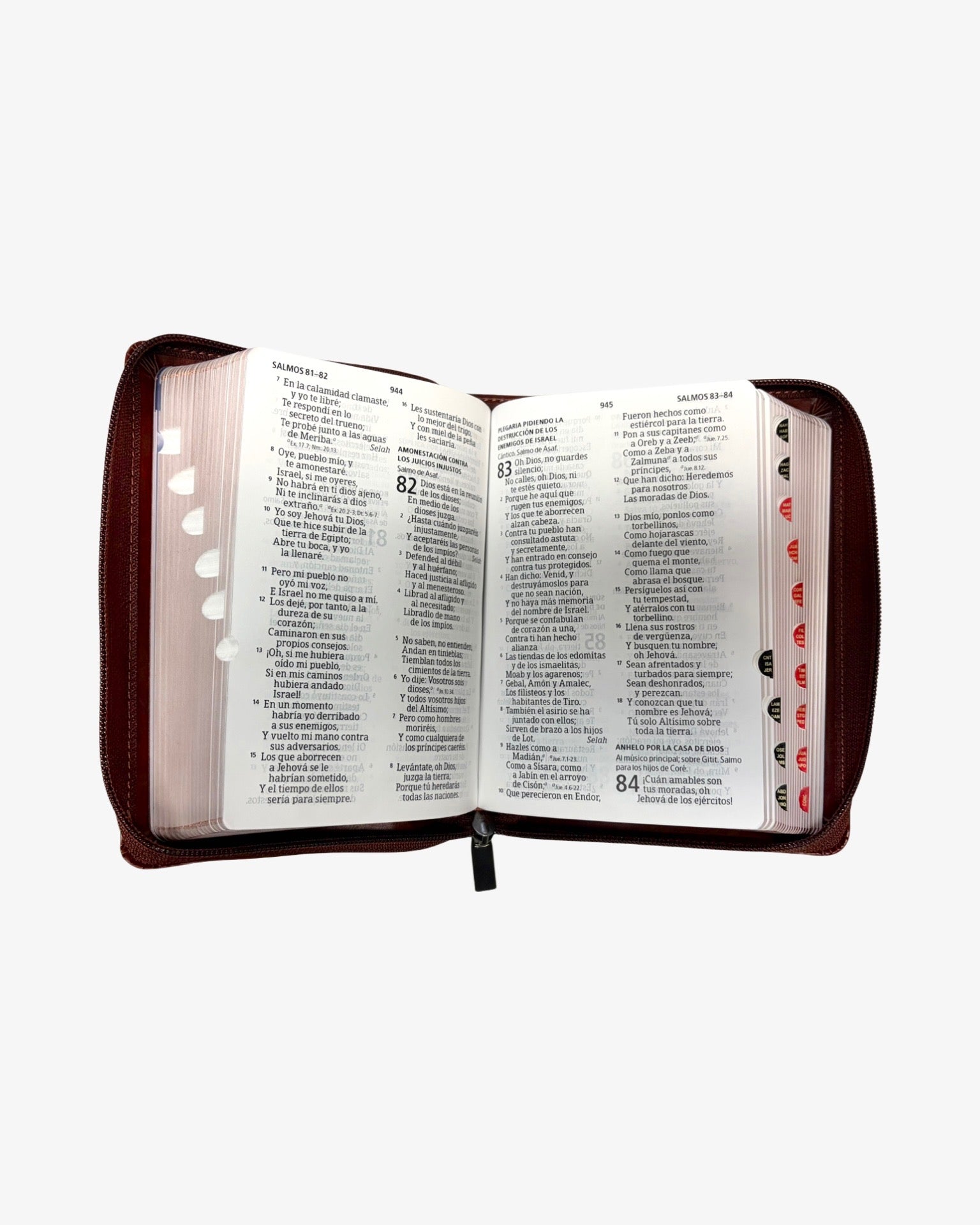 Biblia Rvr 1960 con cierre y Indice