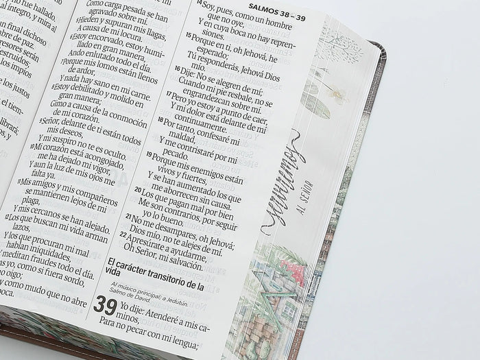 Bible Rvr 1960 yo y mi casa, 19 puntos