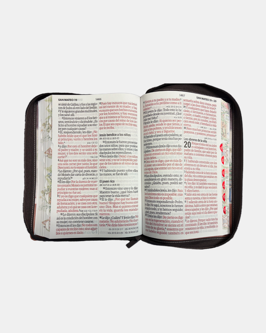 Bible Rvr 1960 yo y mi casa, 19 puntos