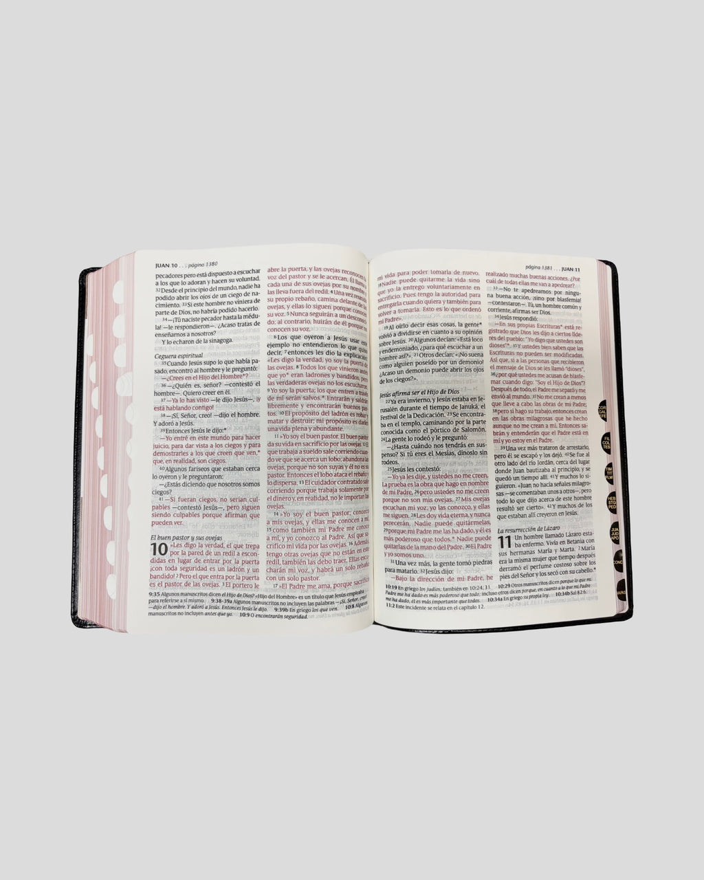 Santa Biblia NTV Edición Clásica