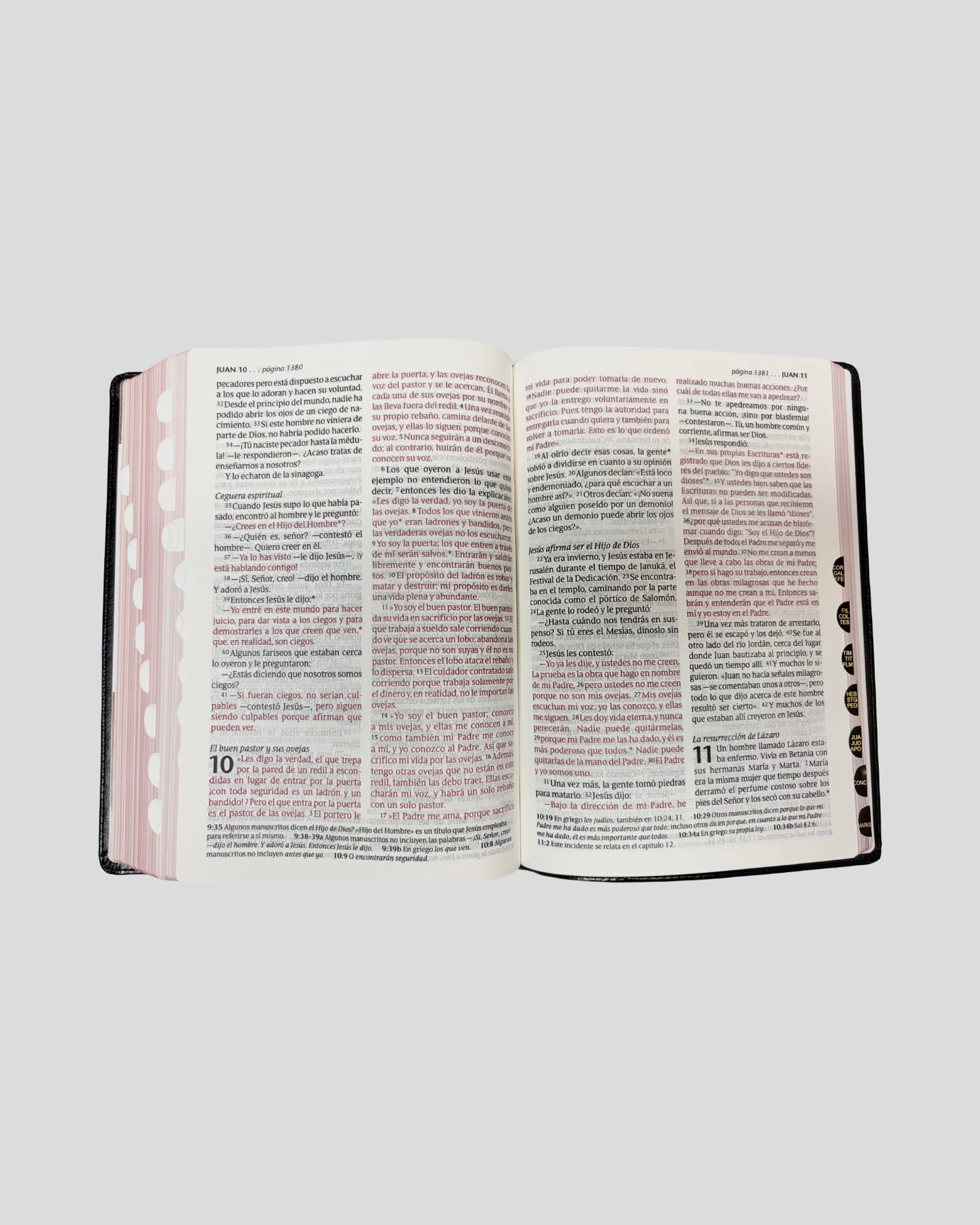 Santa Biblia NTV Edición Clásica