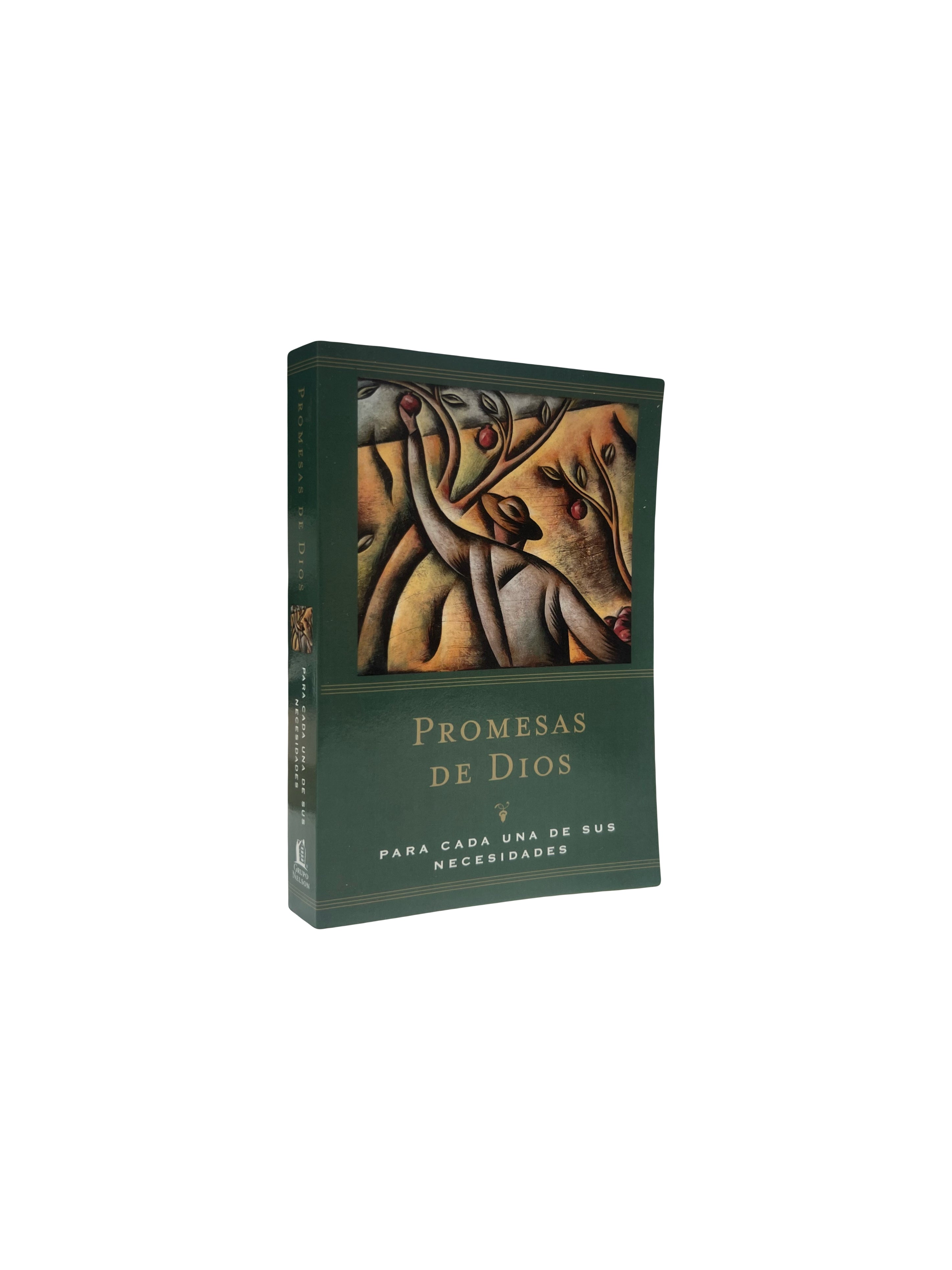 Promesas De Dios, Para Cada Una De Sus Necesidades