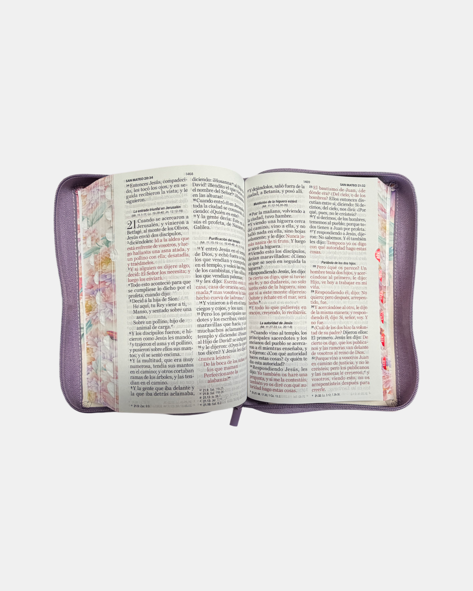 Biblia Rvr1960 con cierre y con indice