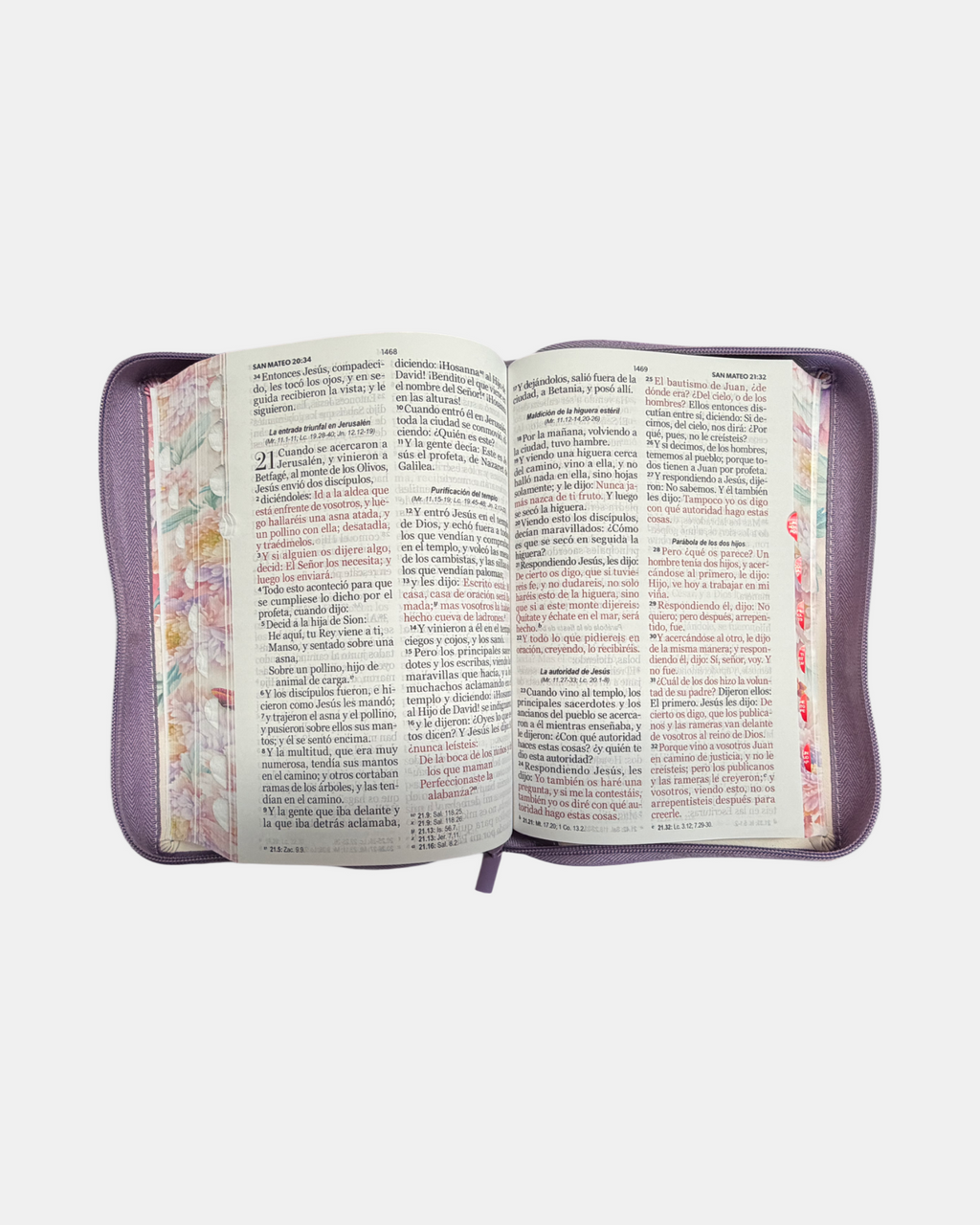 Biblia Rvr1960 con cierre y con indice