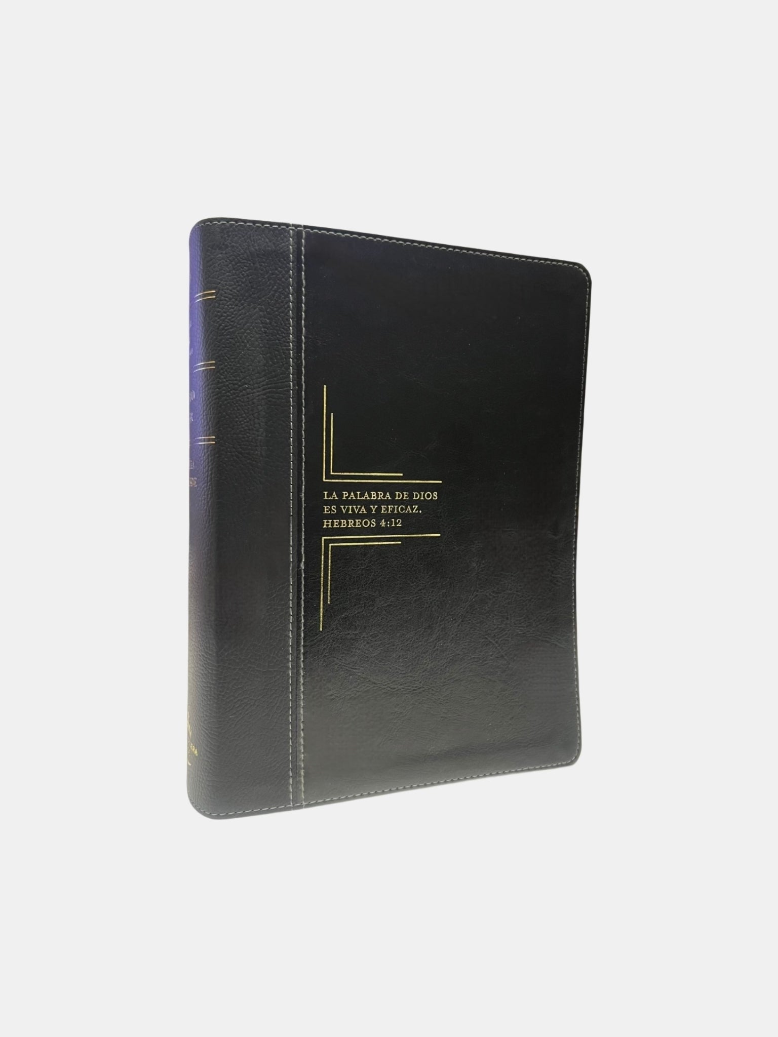 Diario Vivir Biblia De Estudio